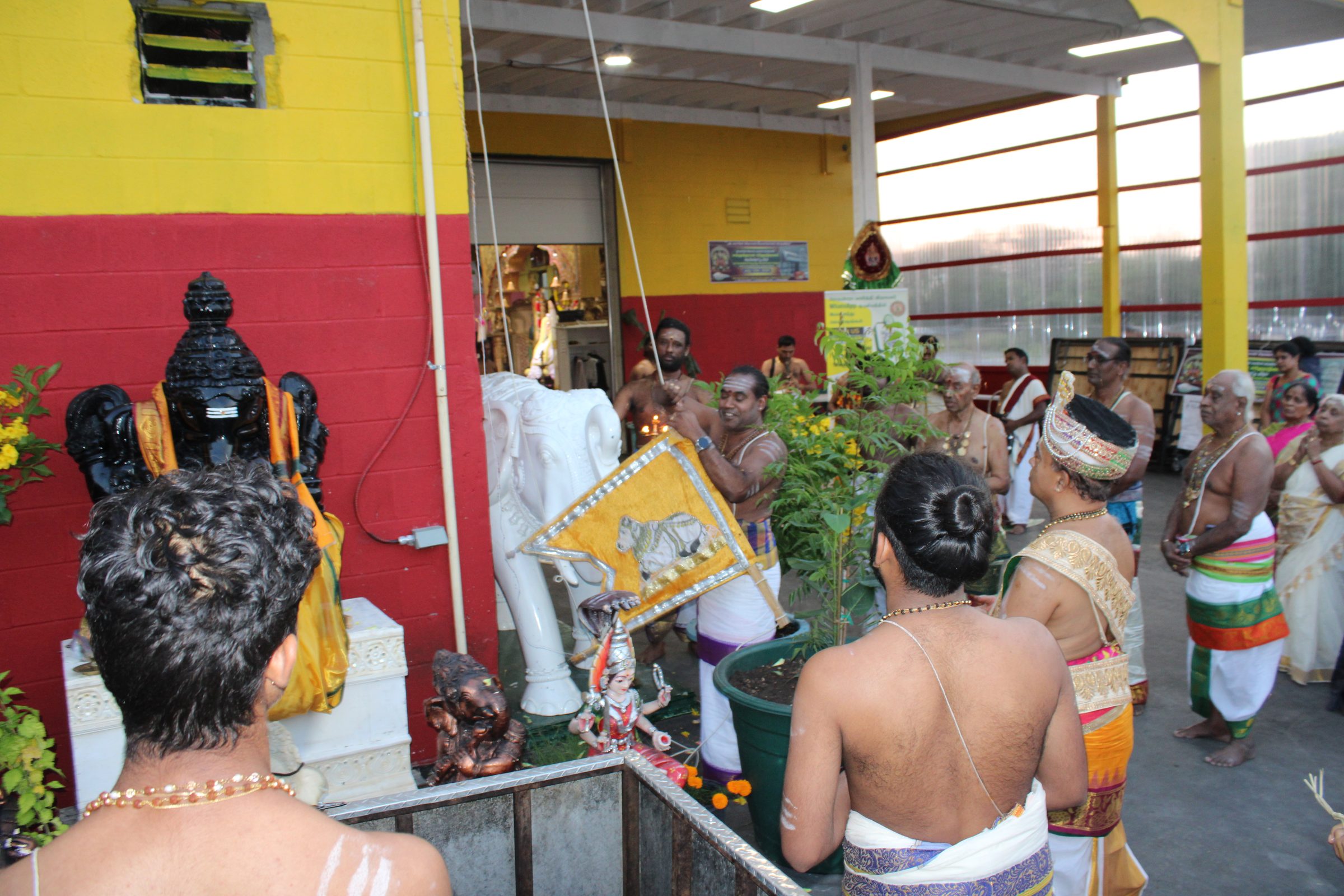 Festival 2024 photo
