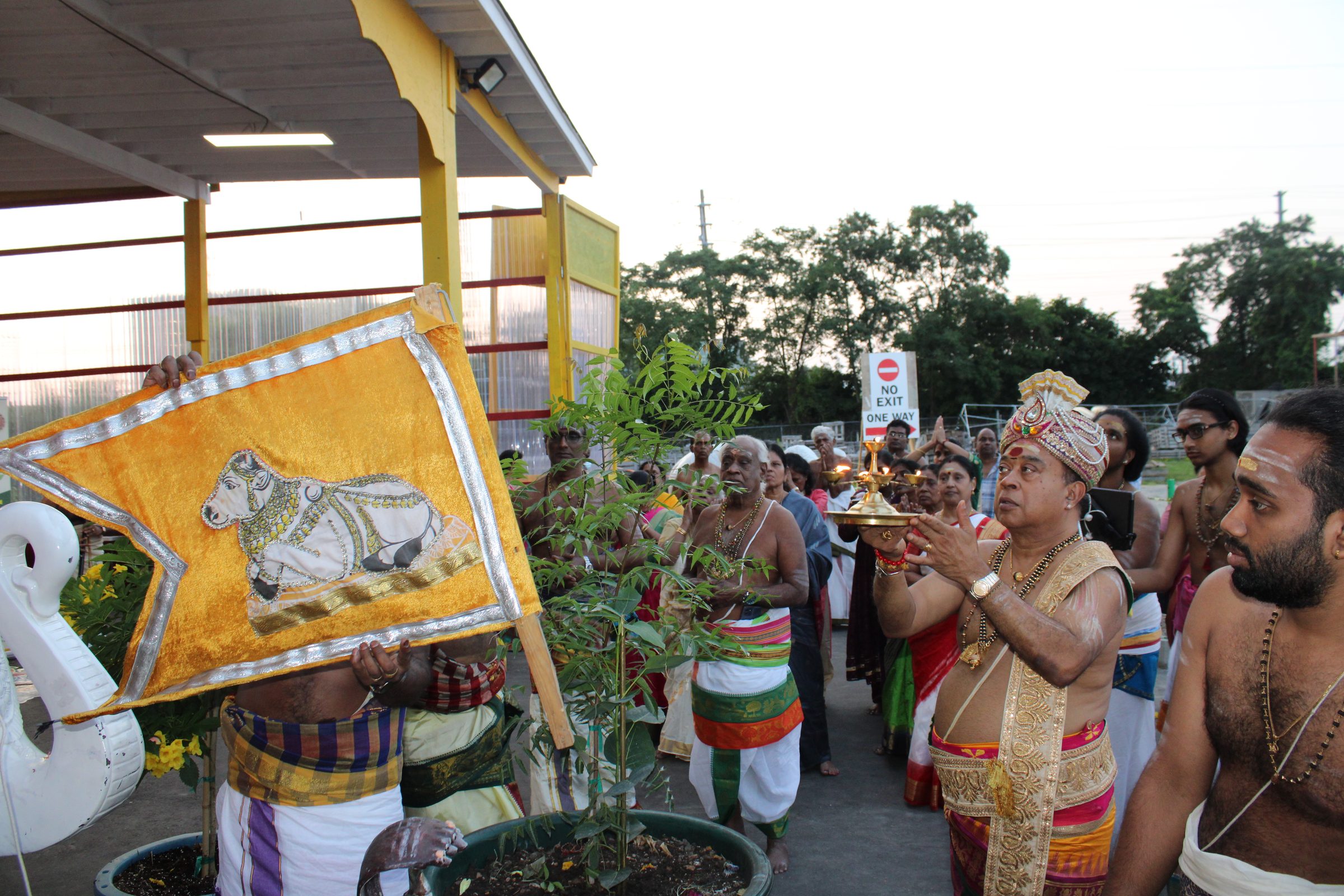 Festival 2024 photo