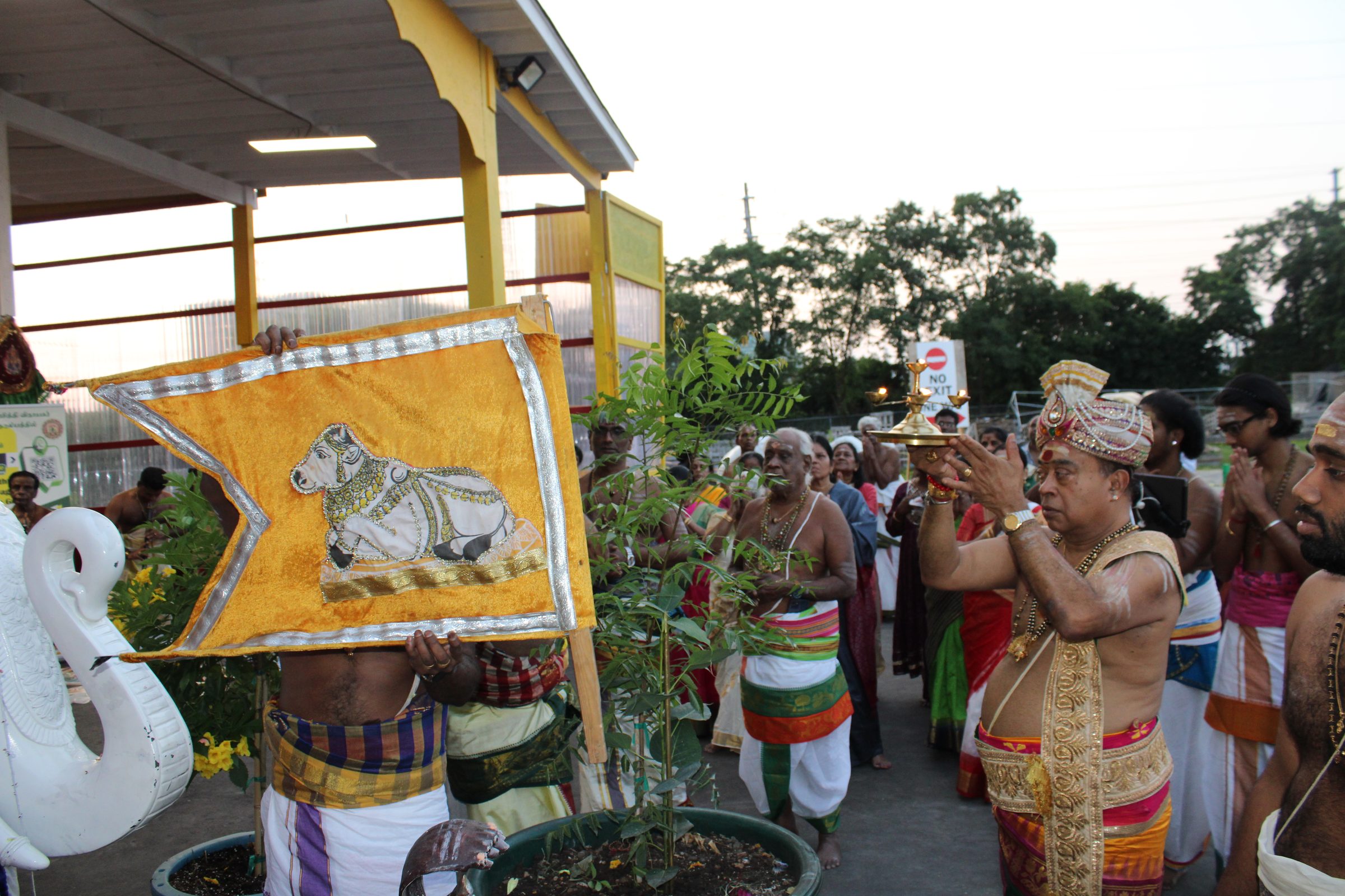 Festival 2024 photo