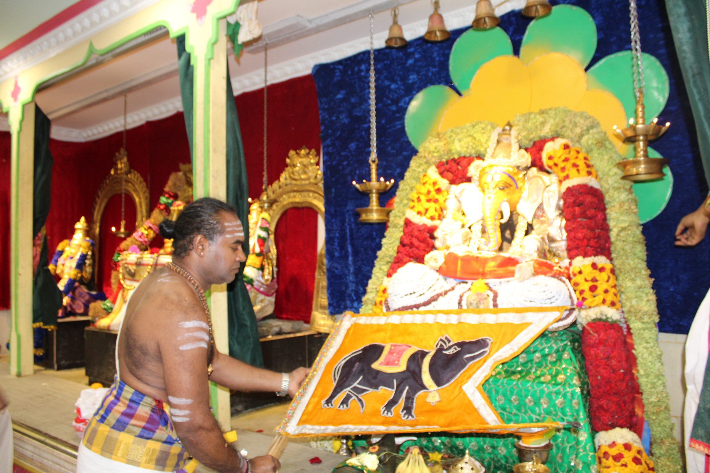 Festival 2024 photo