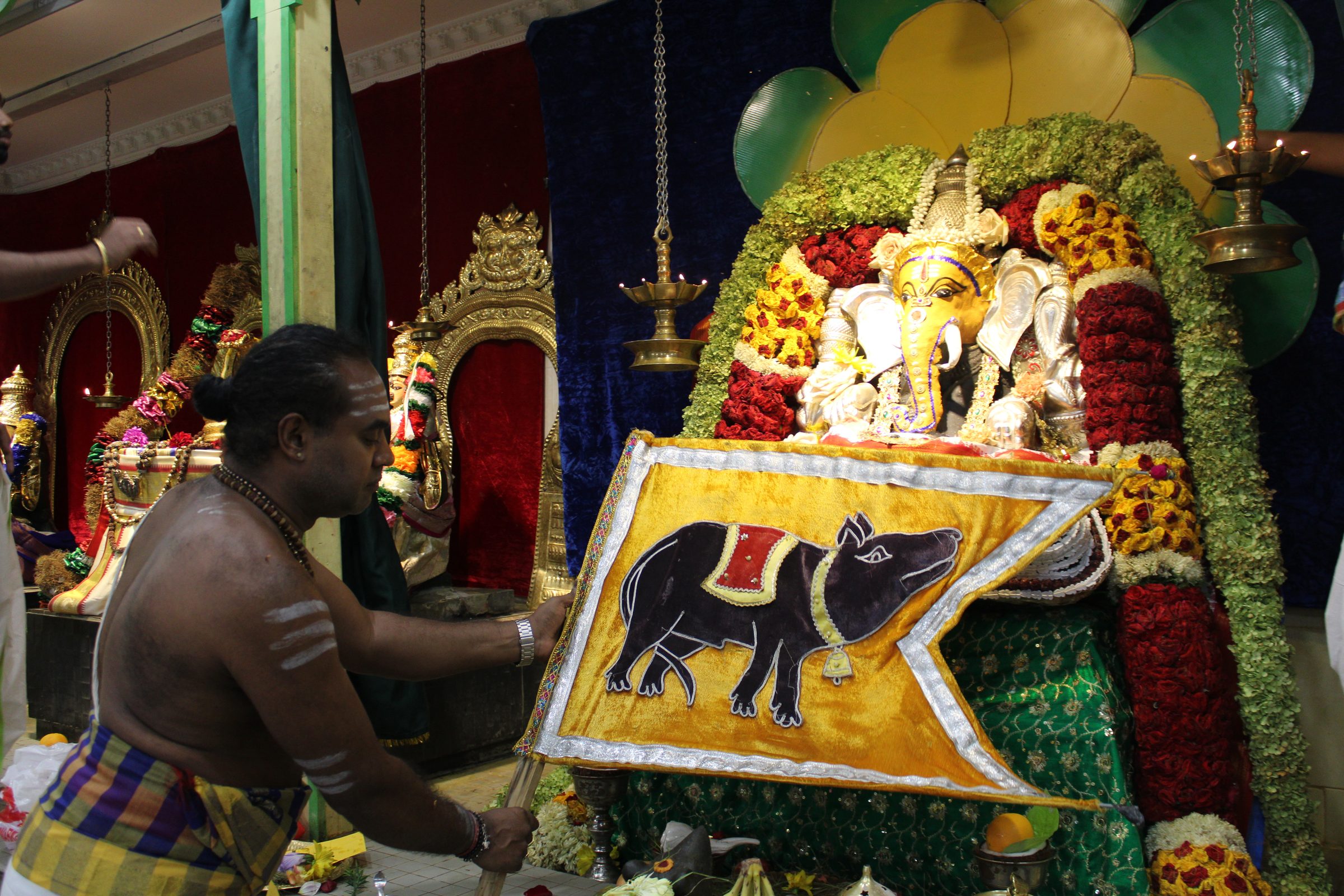 Festival 2024 photo