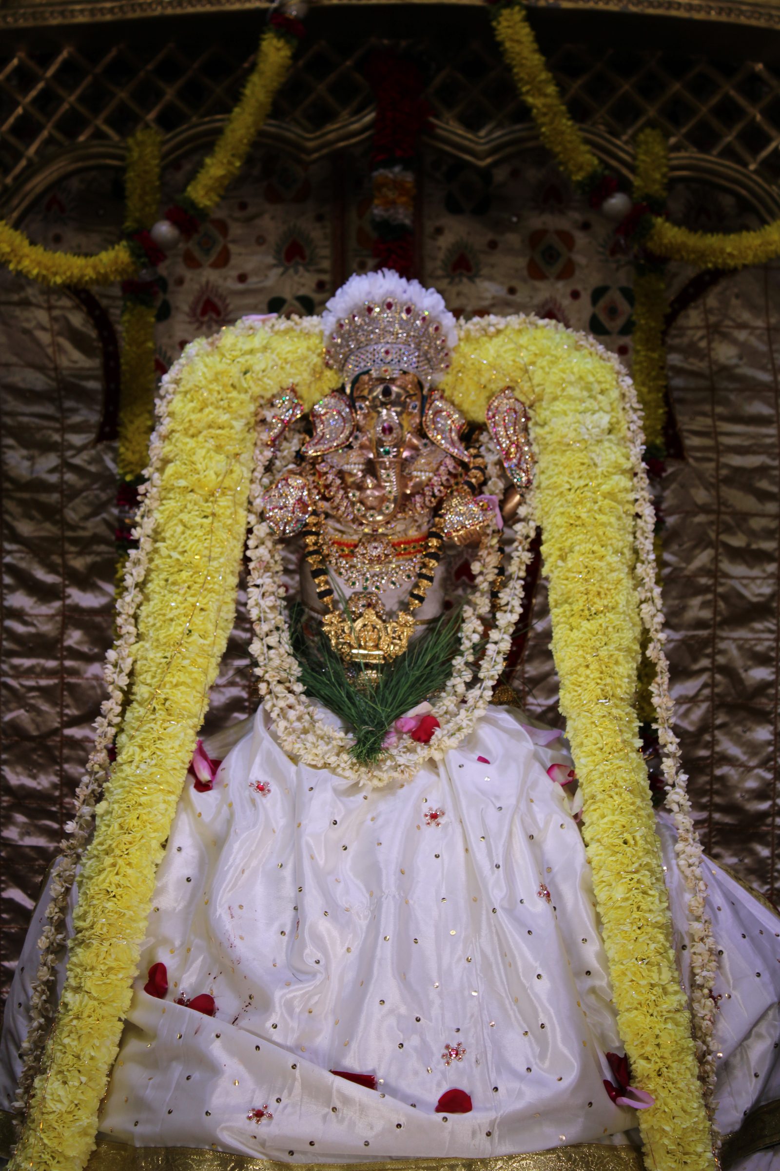 Festival 2024 photo