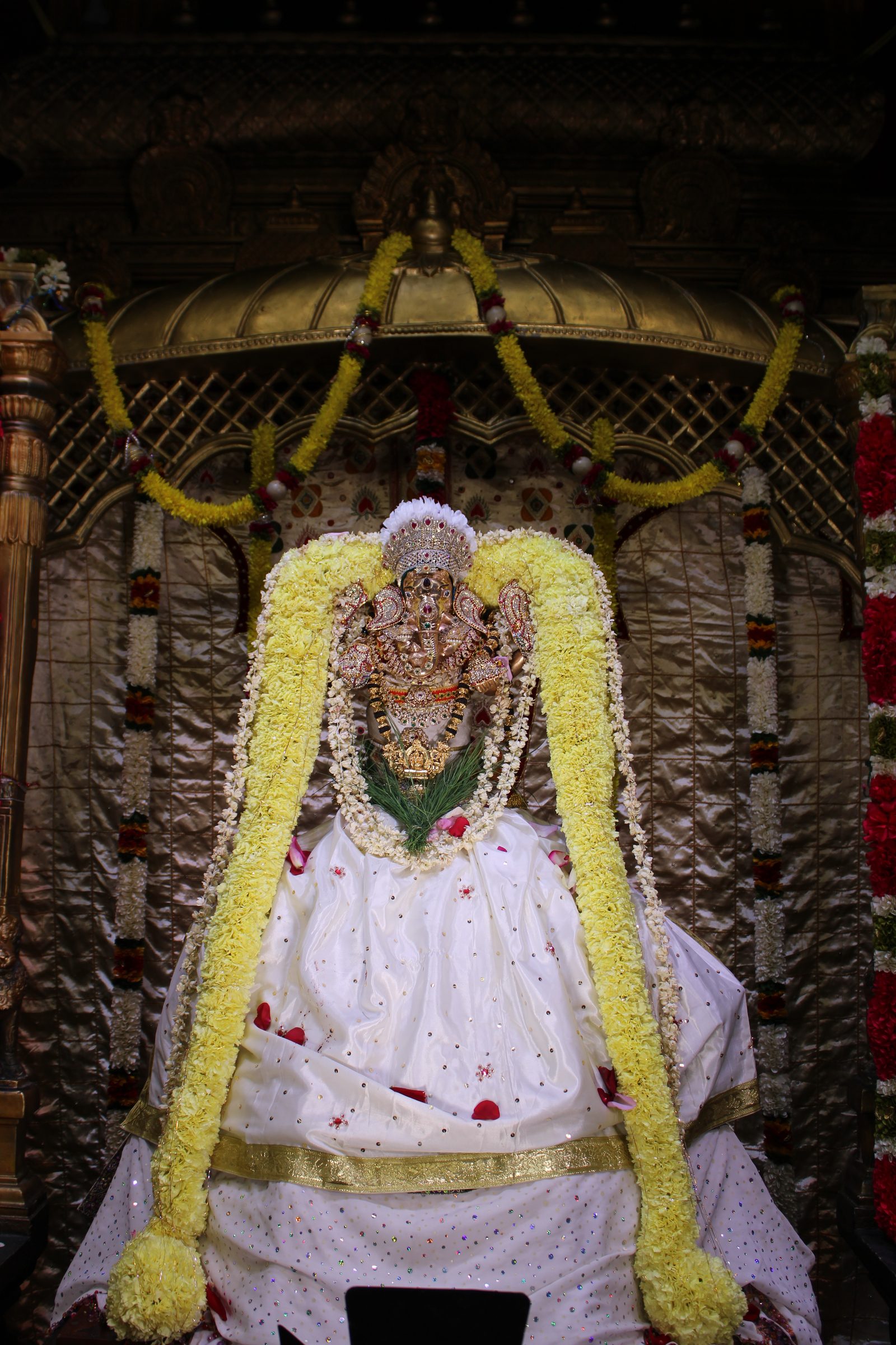 Festival 2024 photo