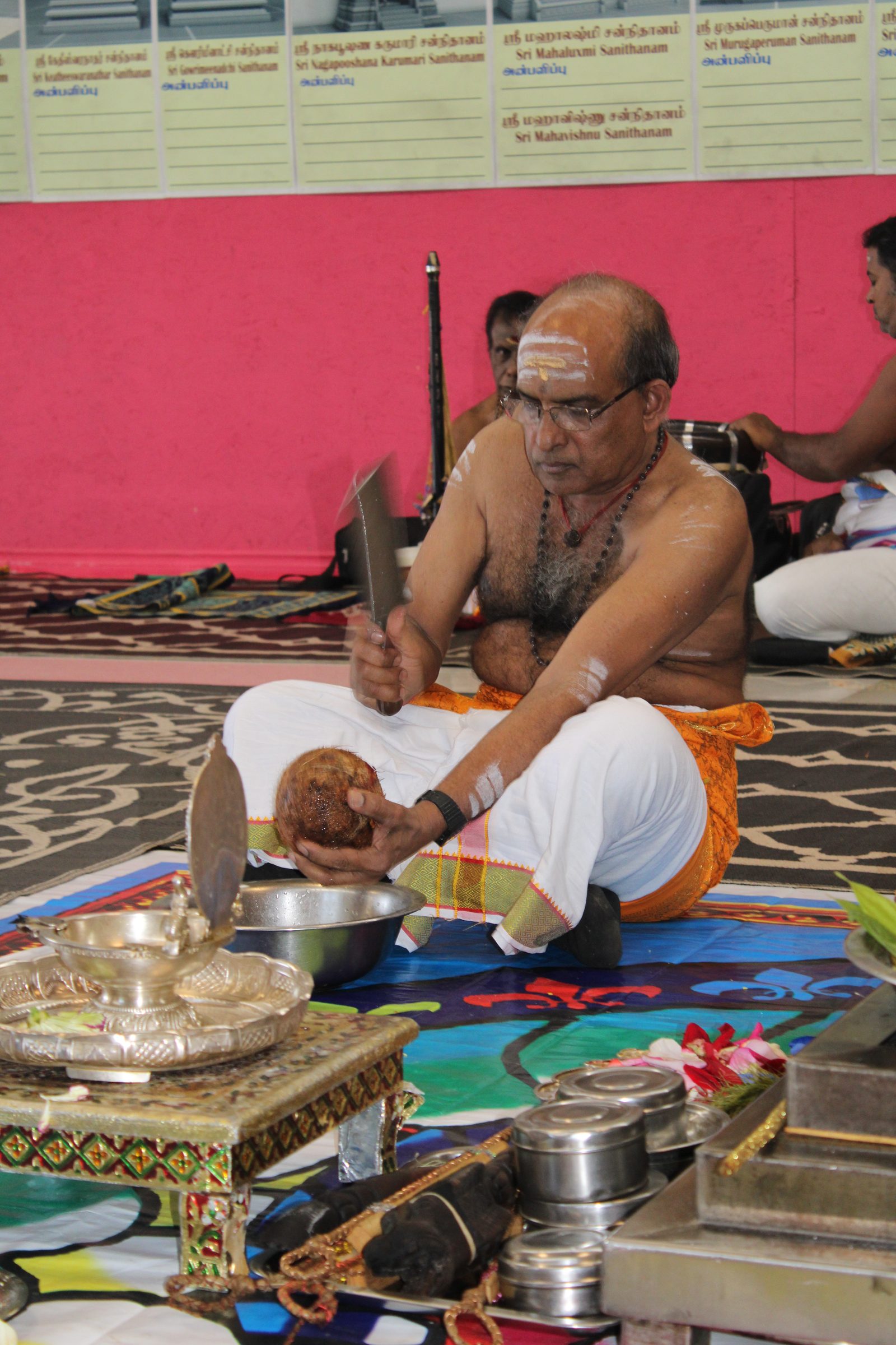 Festival 2024 photo