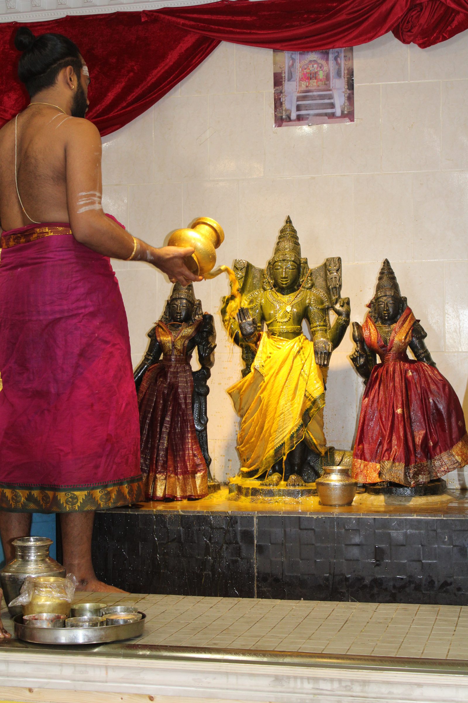 Festival 2024 photo