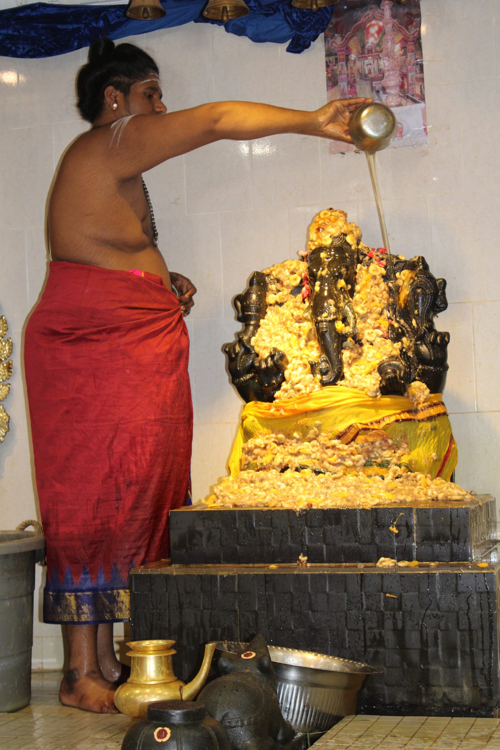 Festival 2024 photo