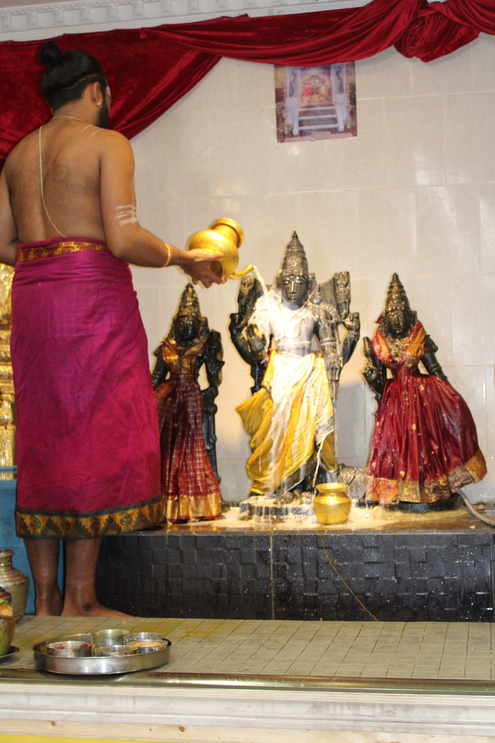 Festival 2024 photo