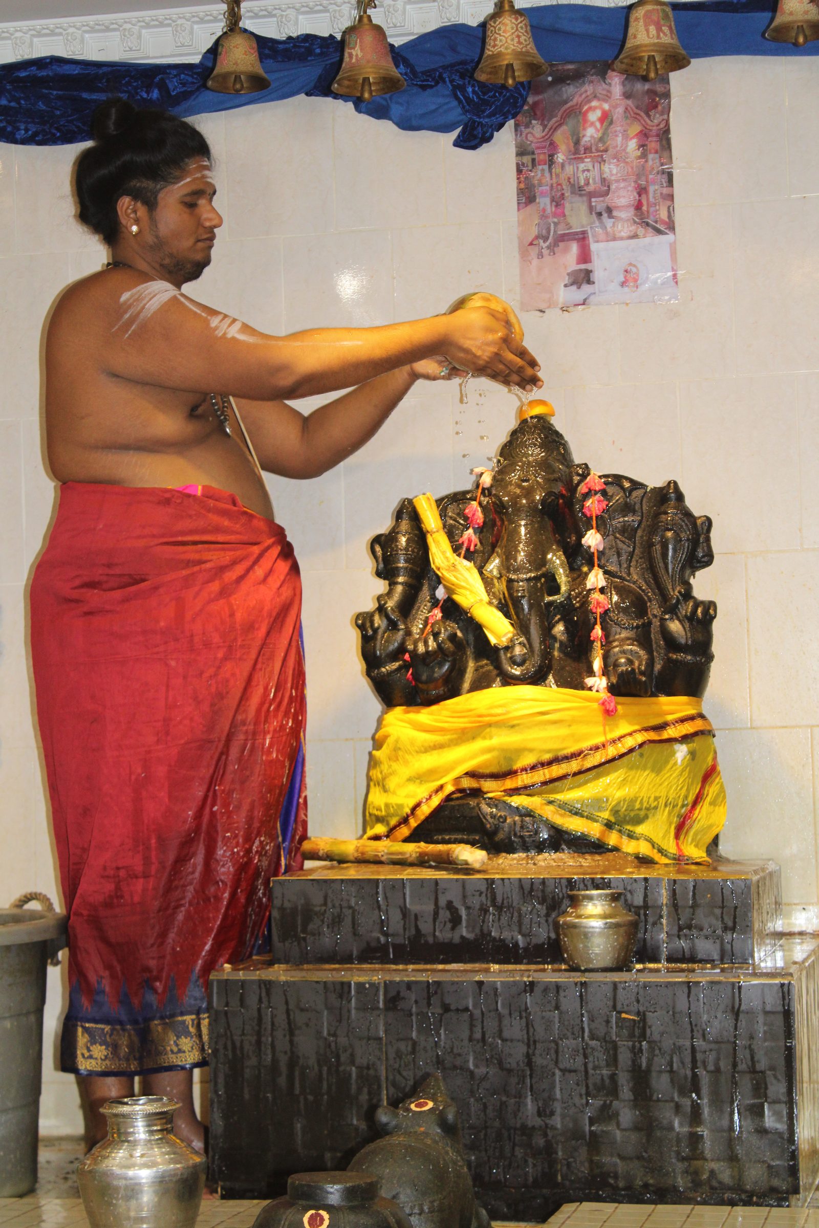 Festival 2024 photo