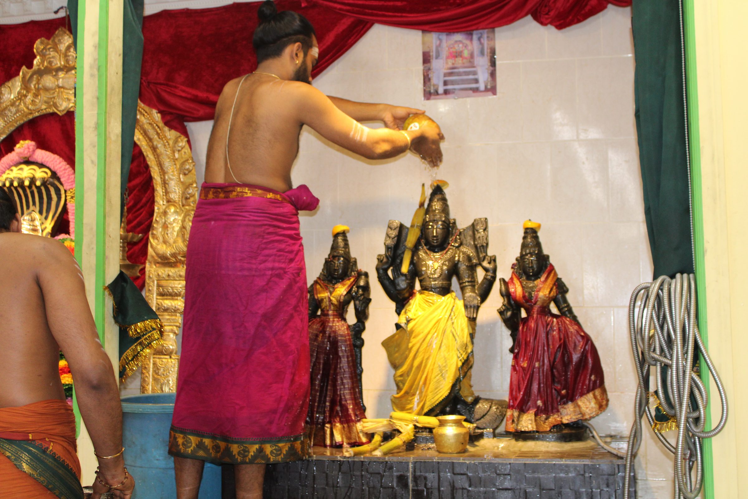 Festival 2024 photo
