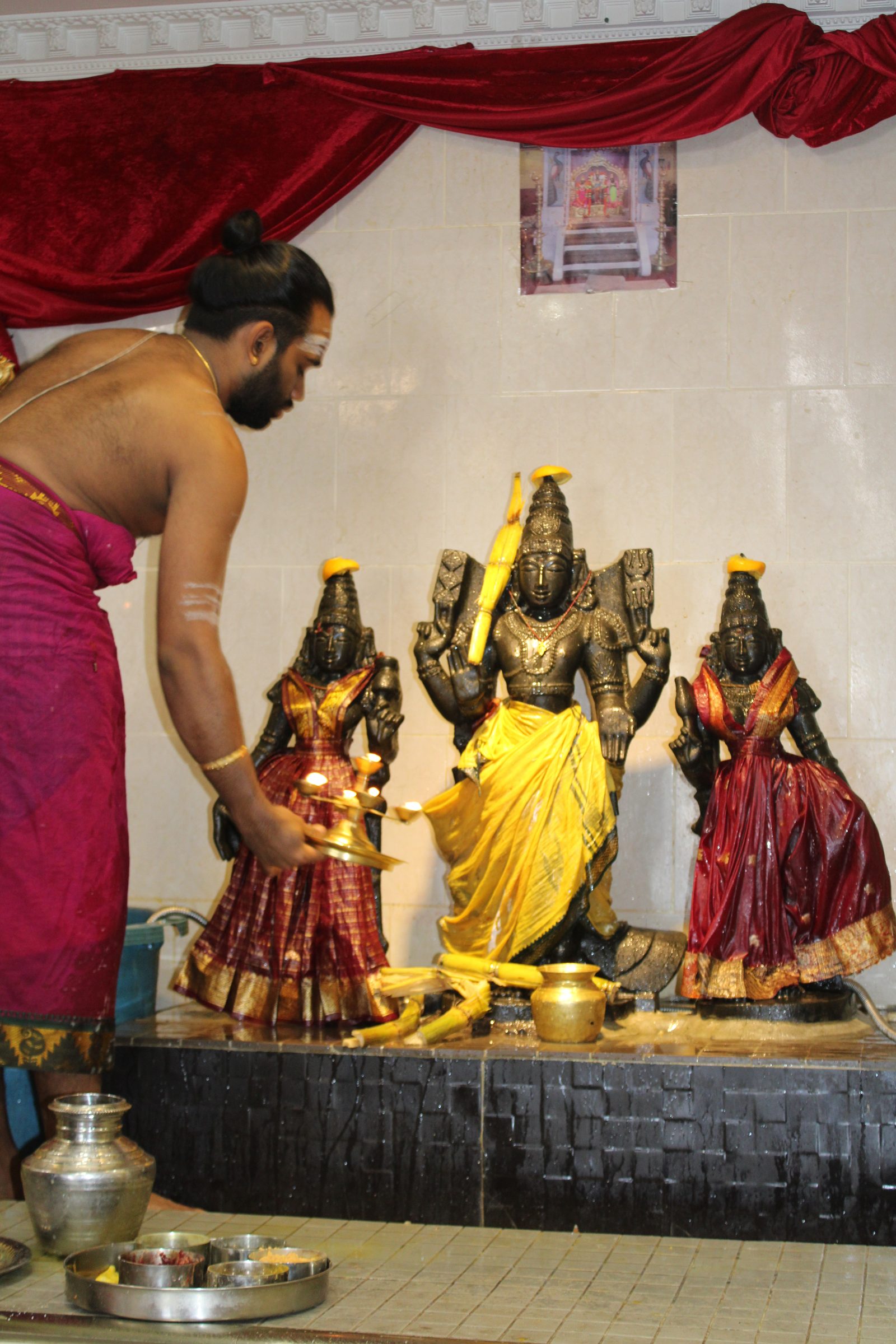 Festival 2024 photo