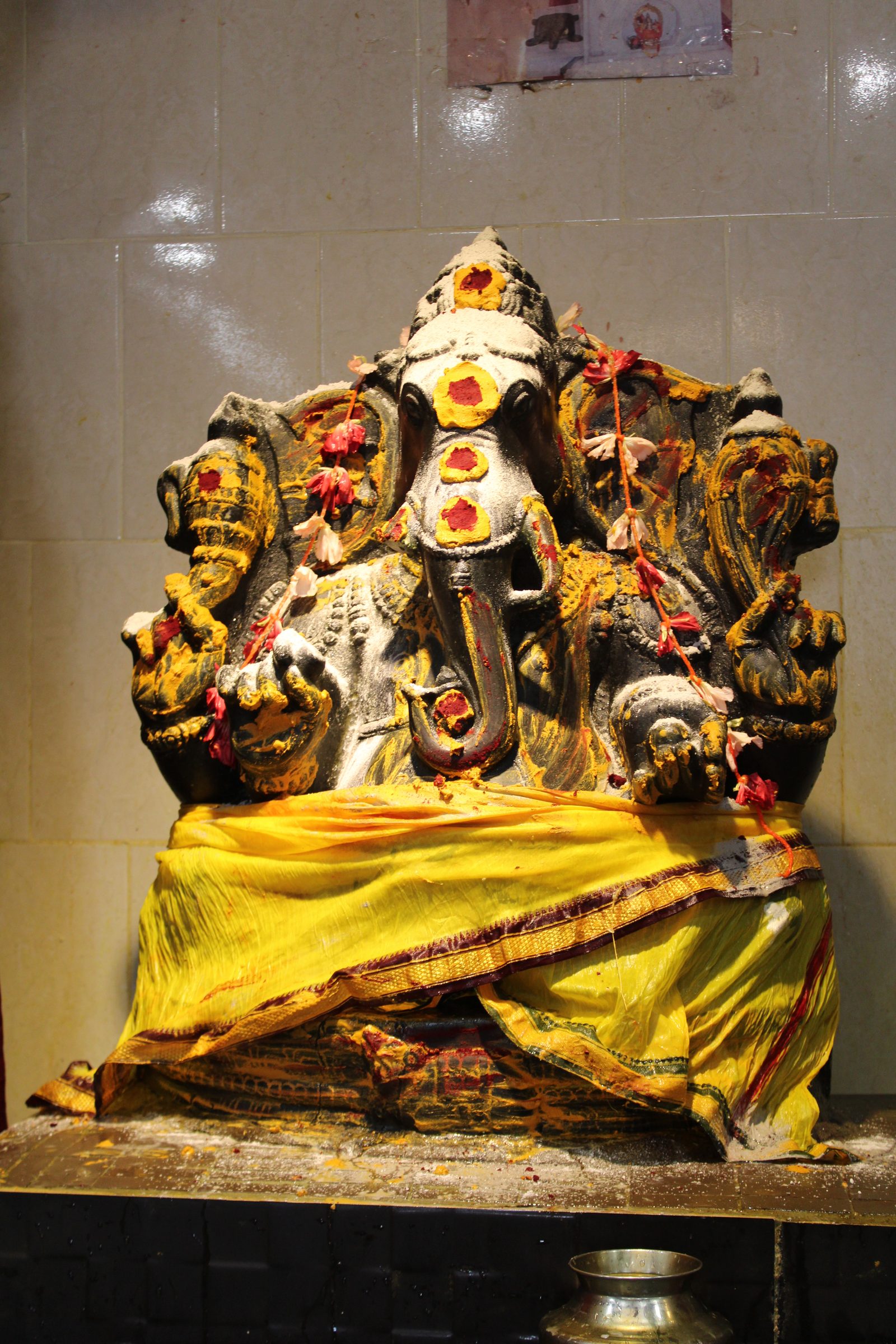Festival 2024 photo