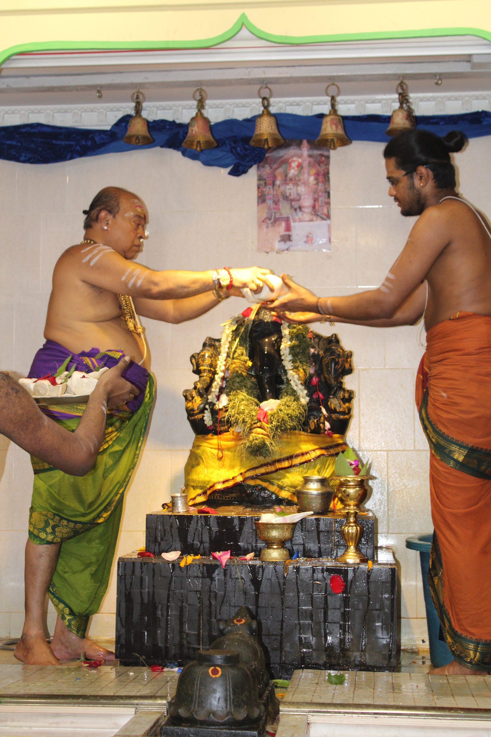 Festival 2024 photo