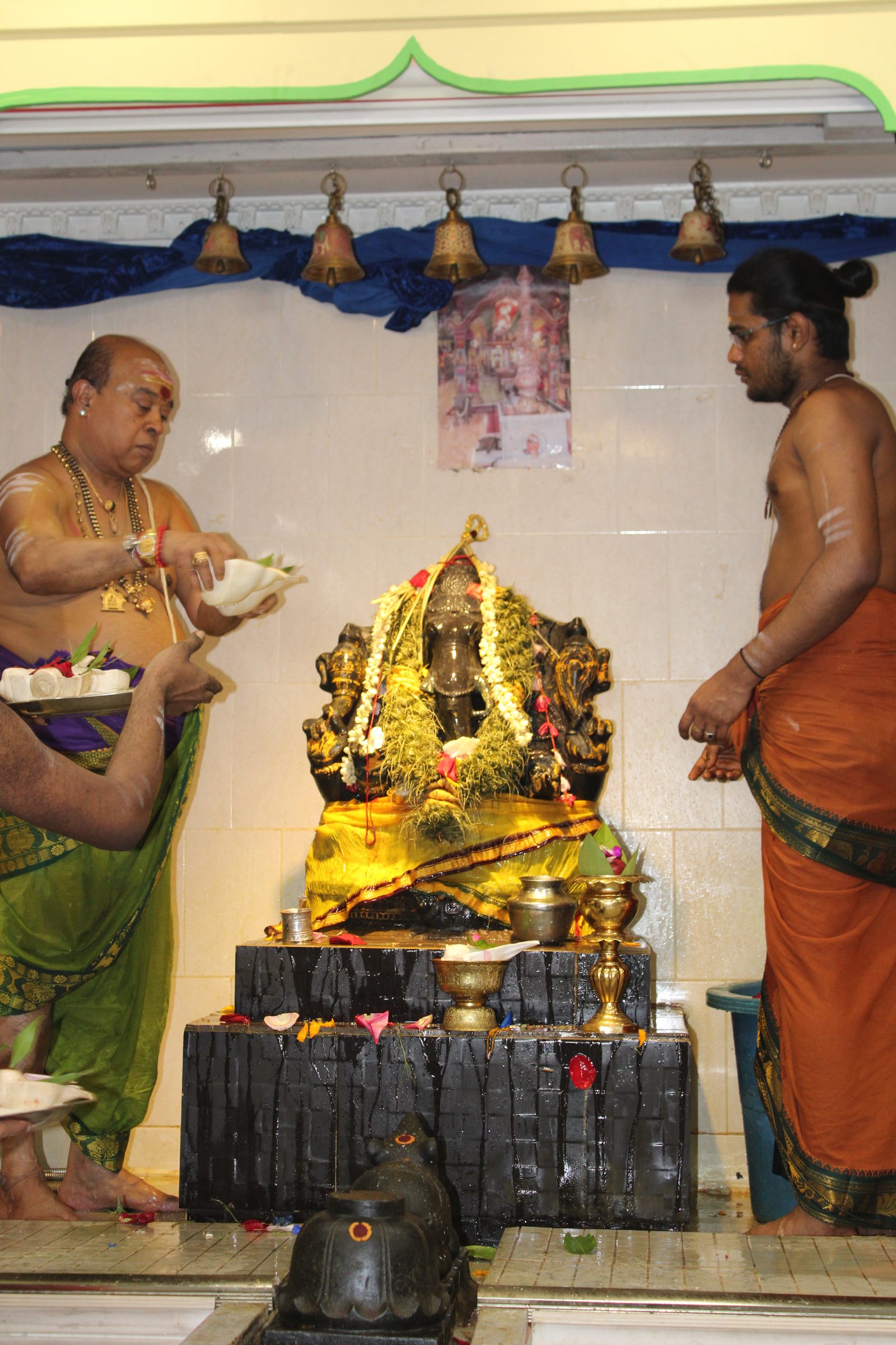 Festival 2024 photo