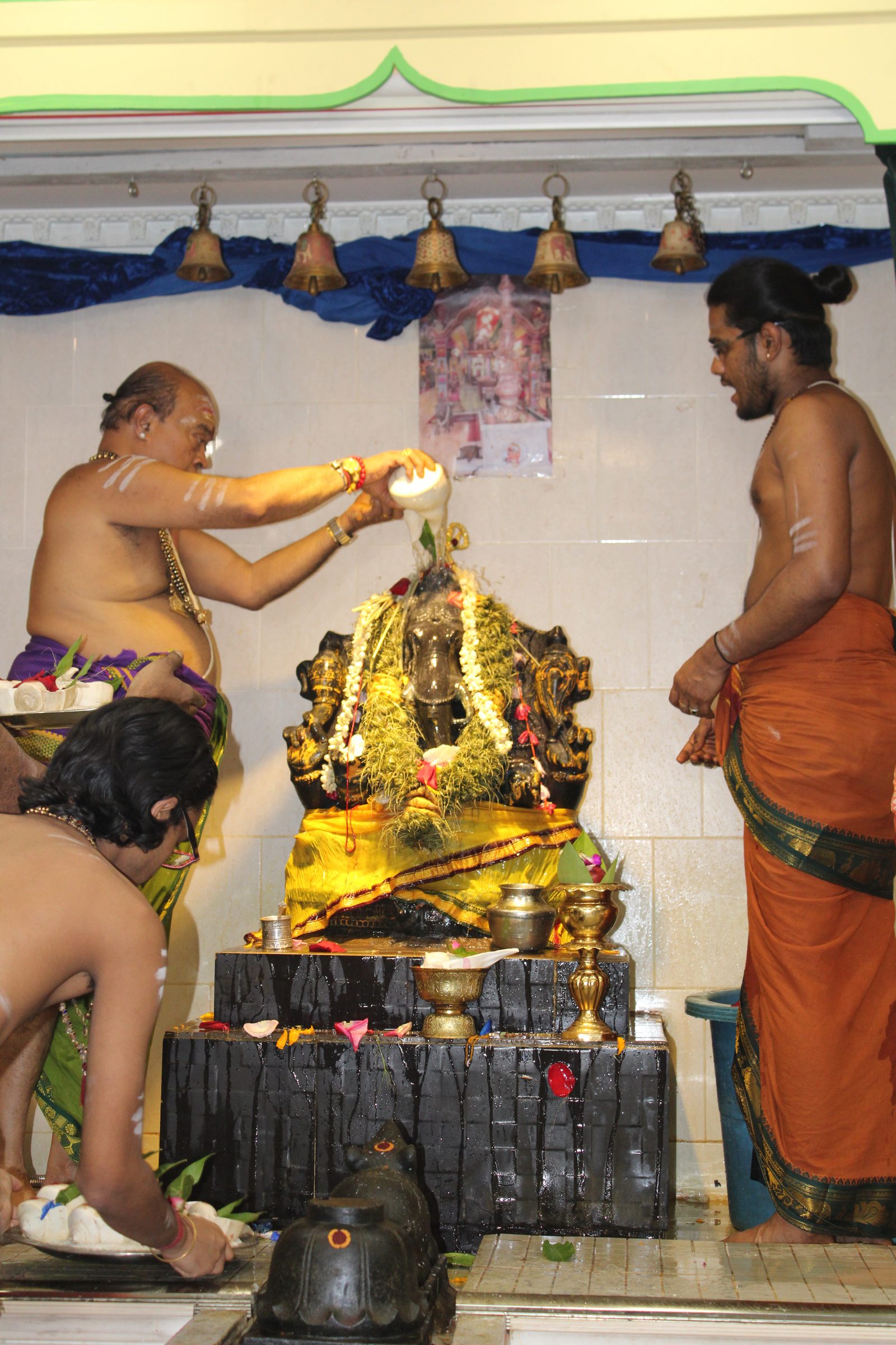 Festival 2024 photo