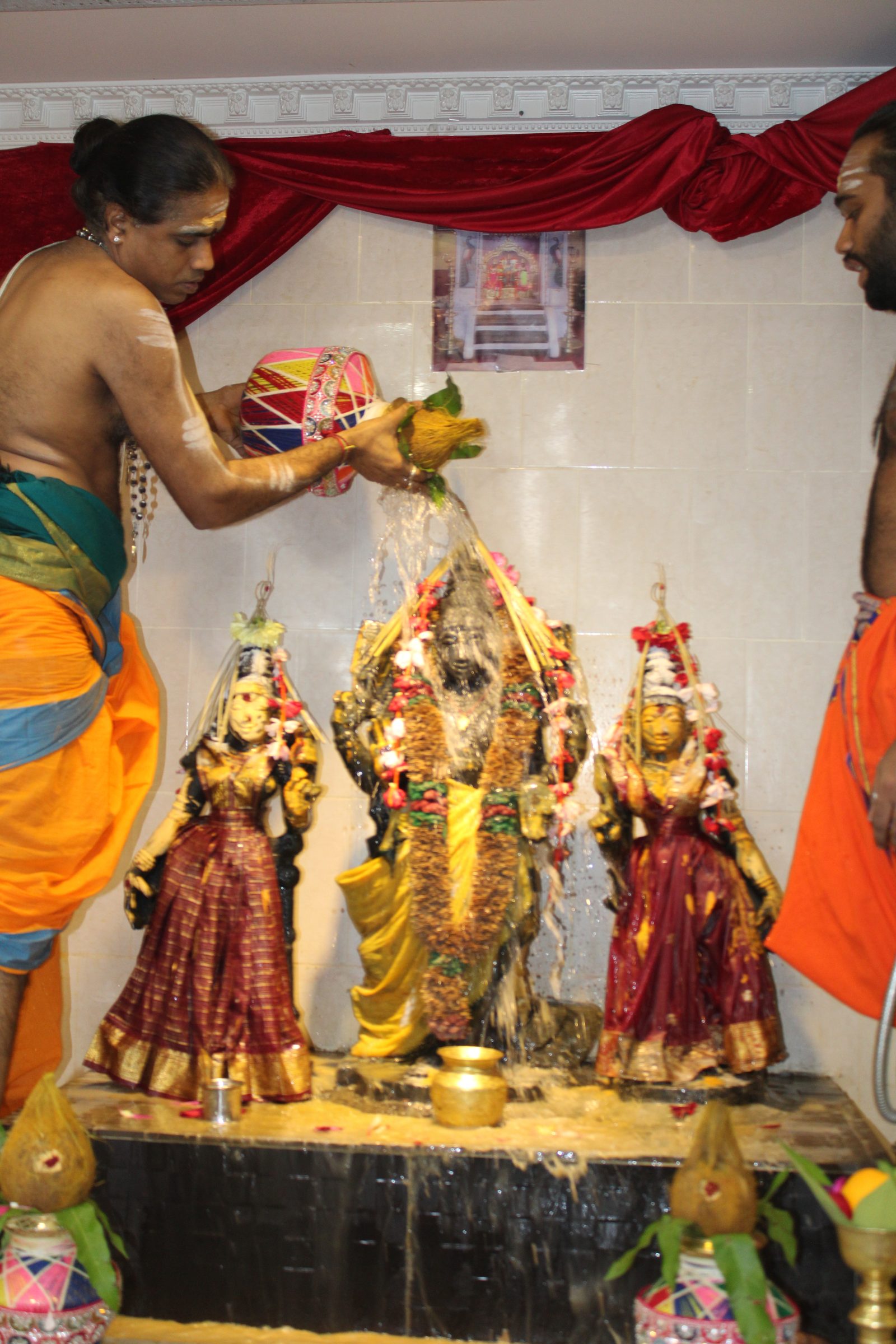 Festival 2024 photo