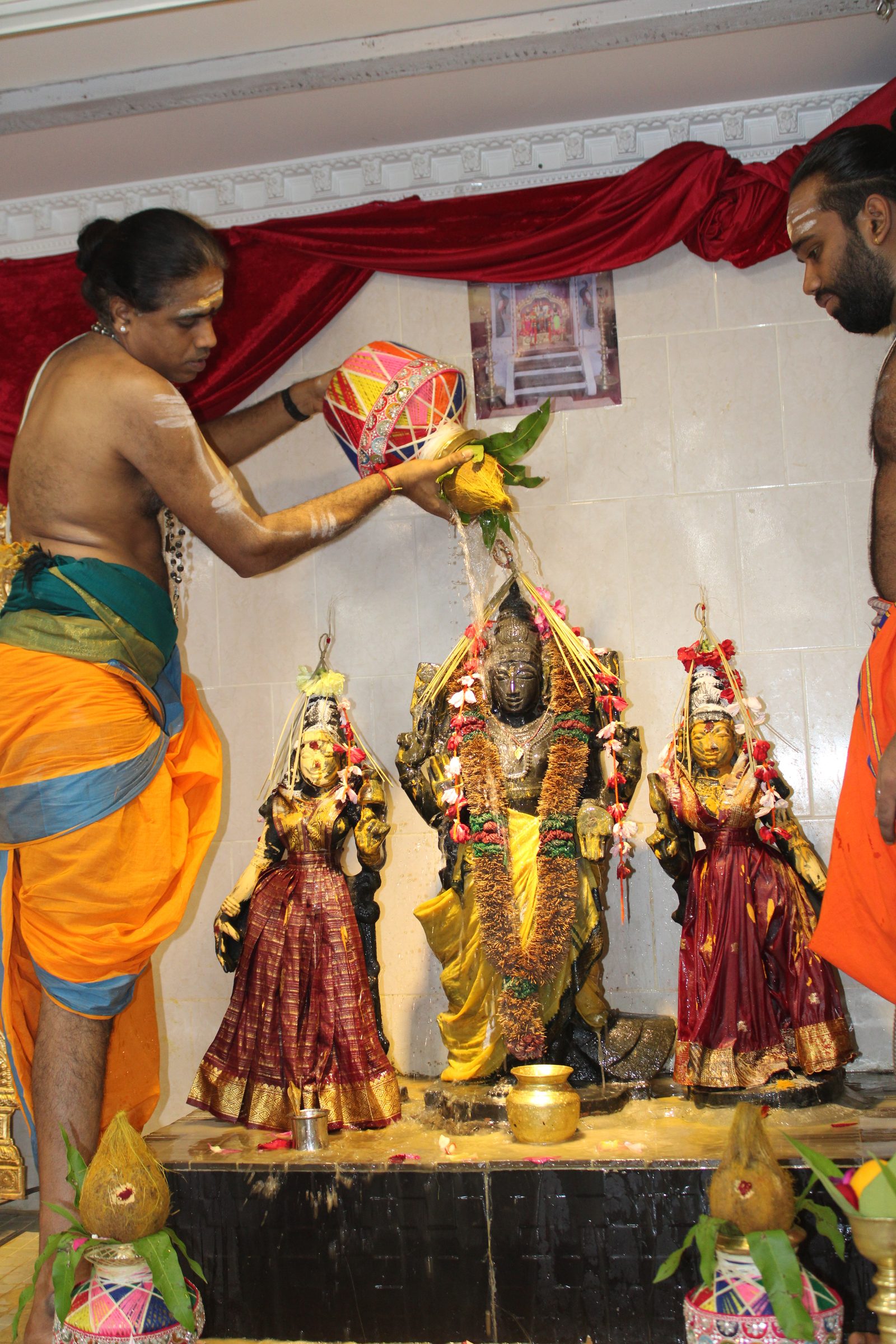 Festival 2024 photo