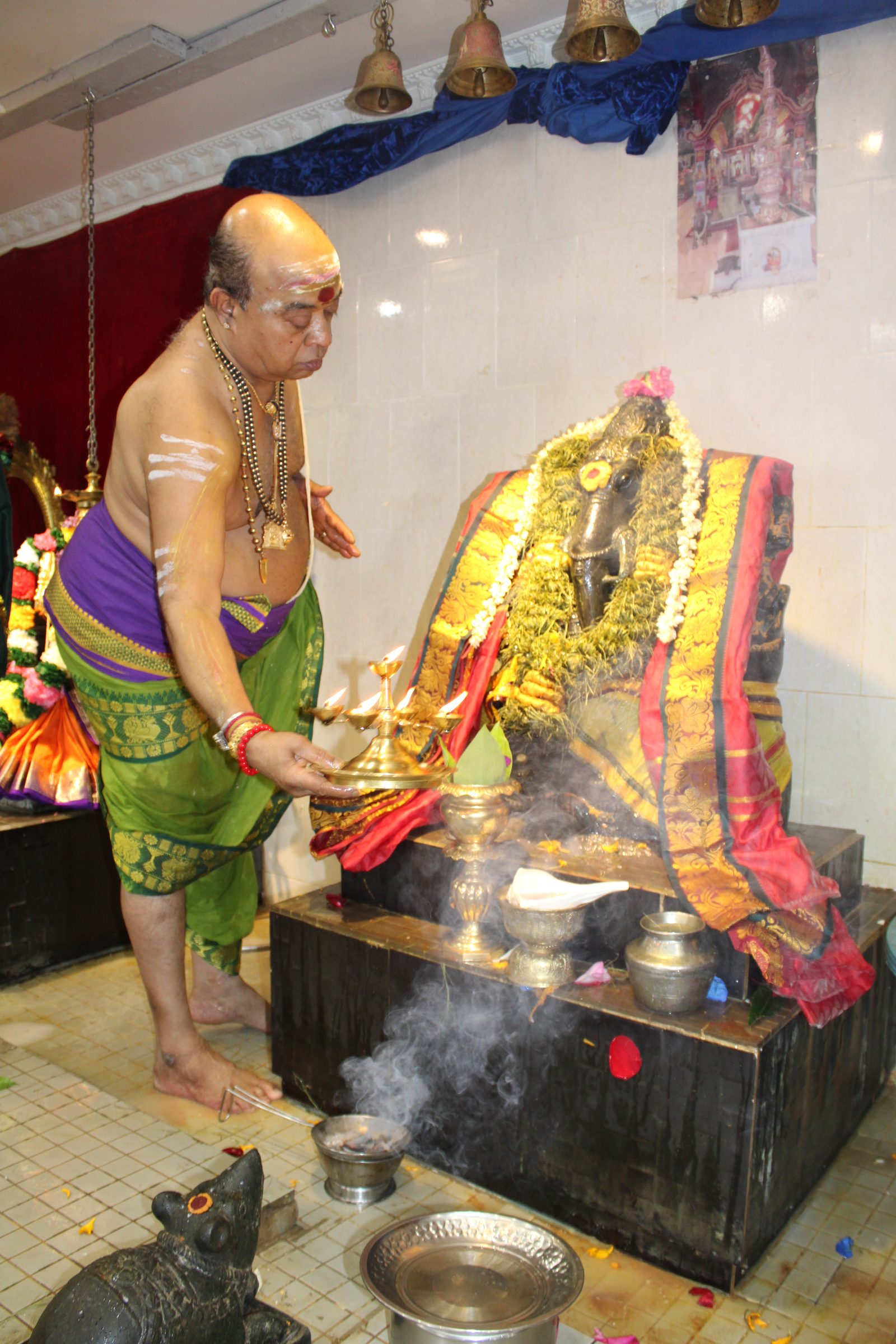 Festival 2024 photo