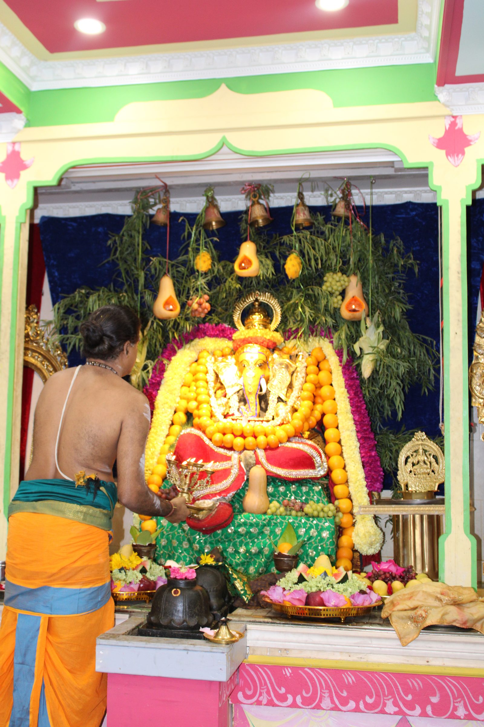 Festival 2024 photo