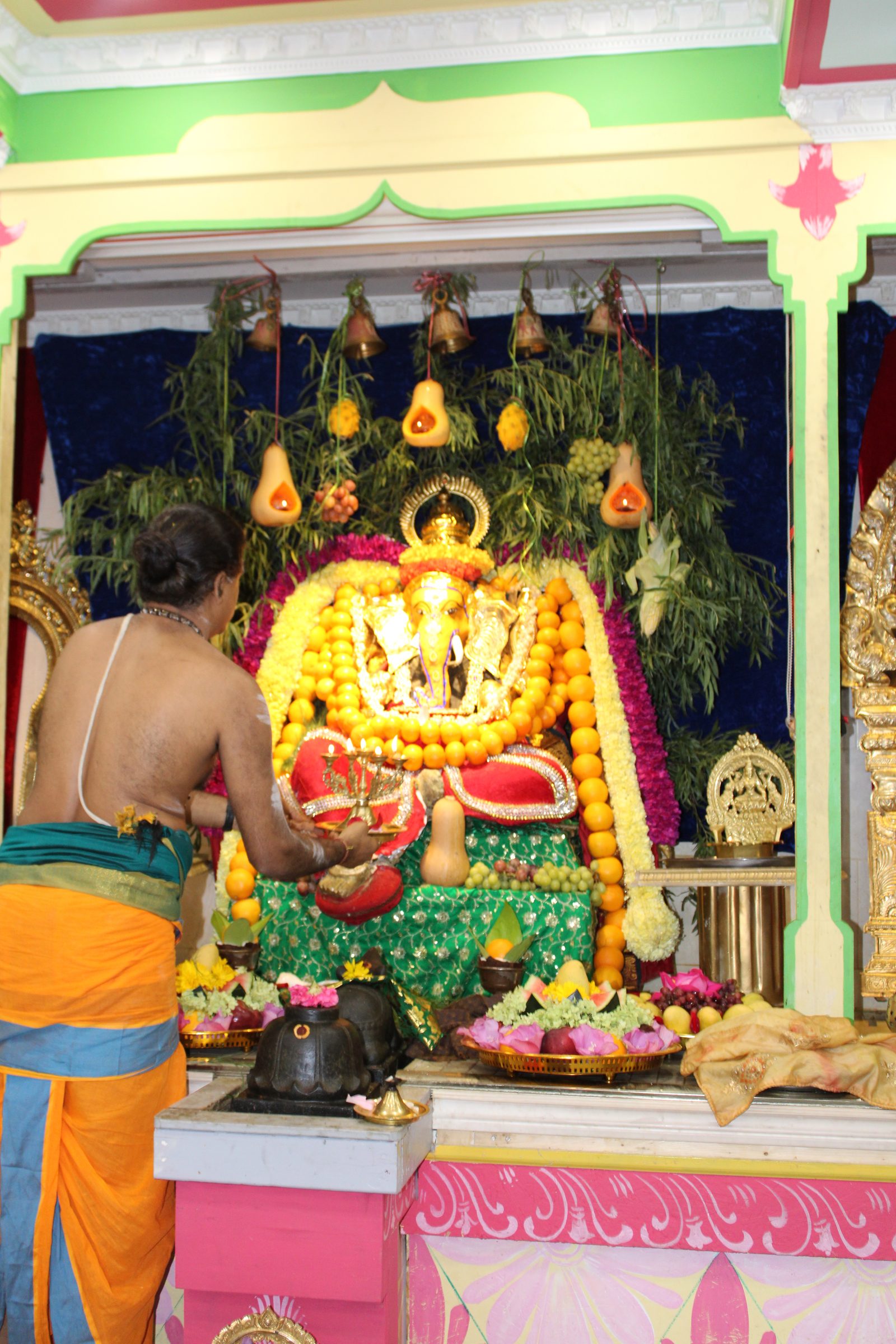Festival 2024 photo
