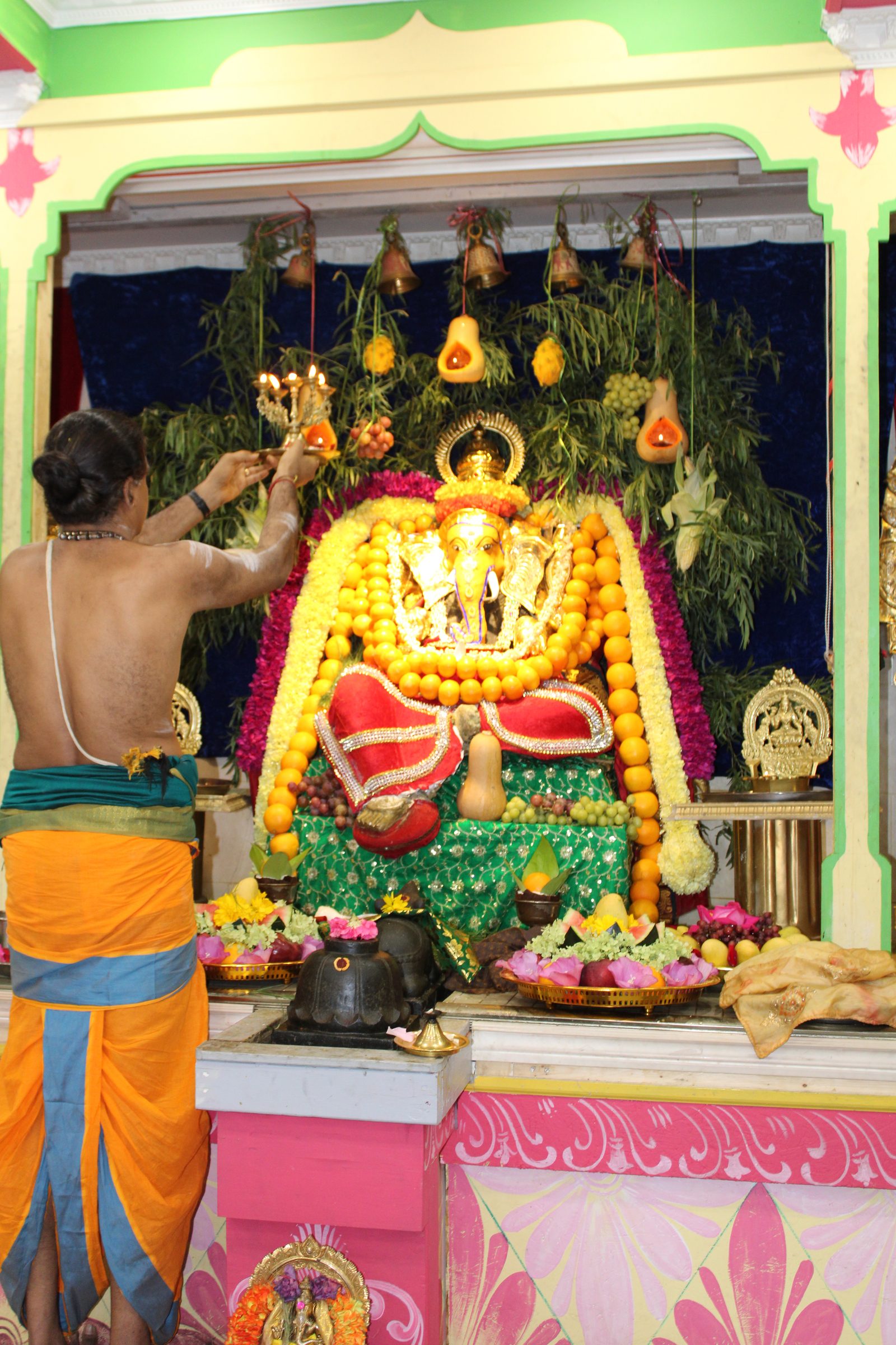 Festival 2024 photo