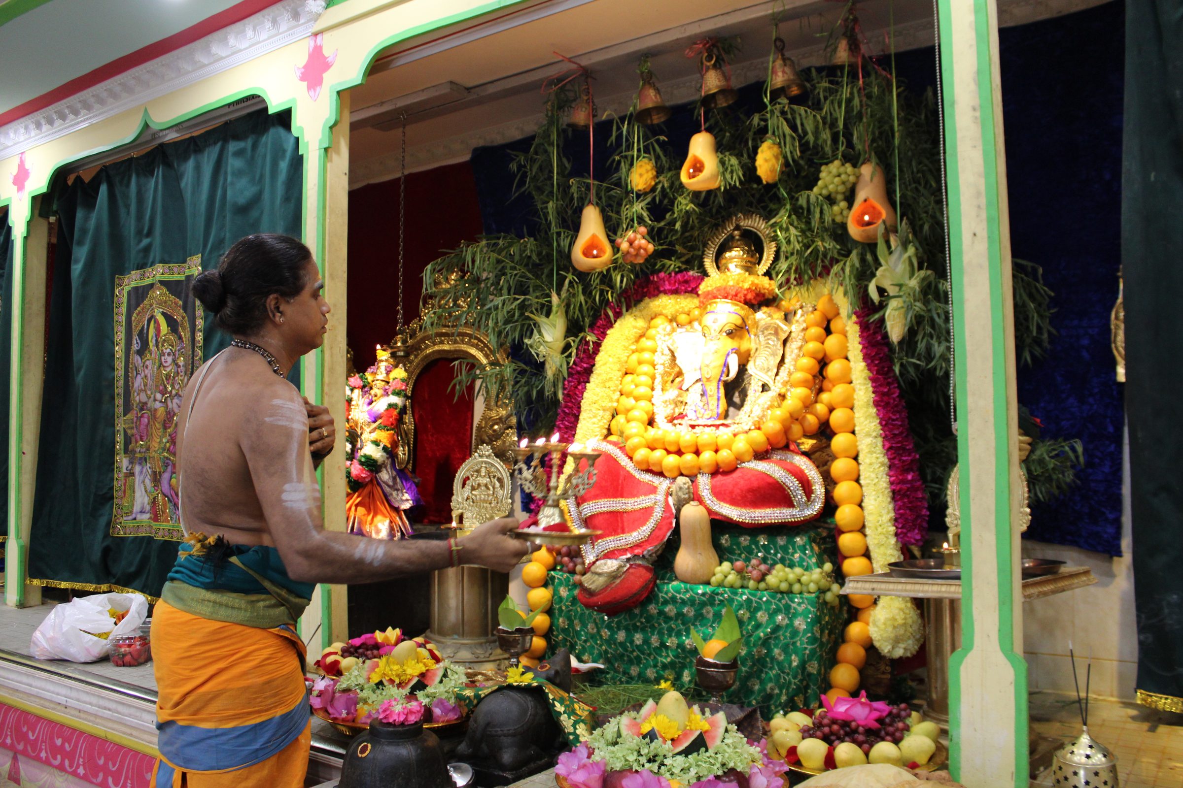 Festival 2024 photo