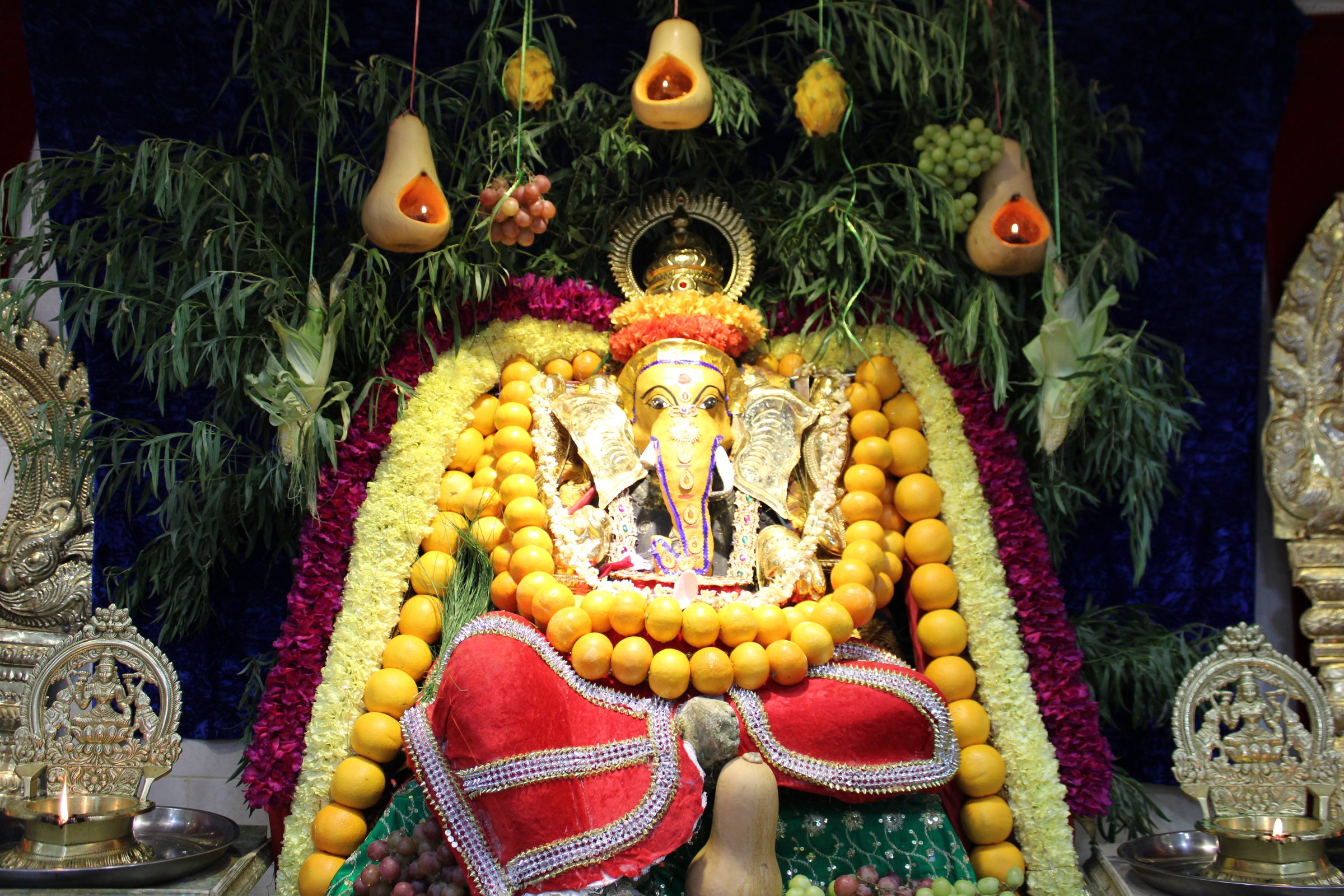 Festival 2024 photo