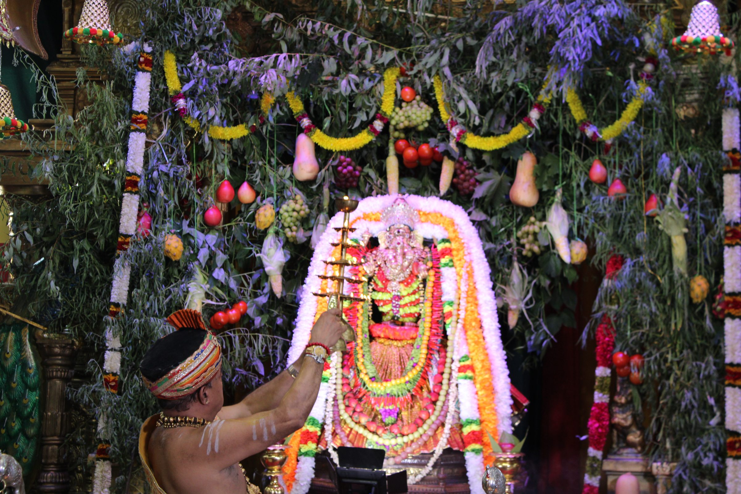 Festival 2024 photo