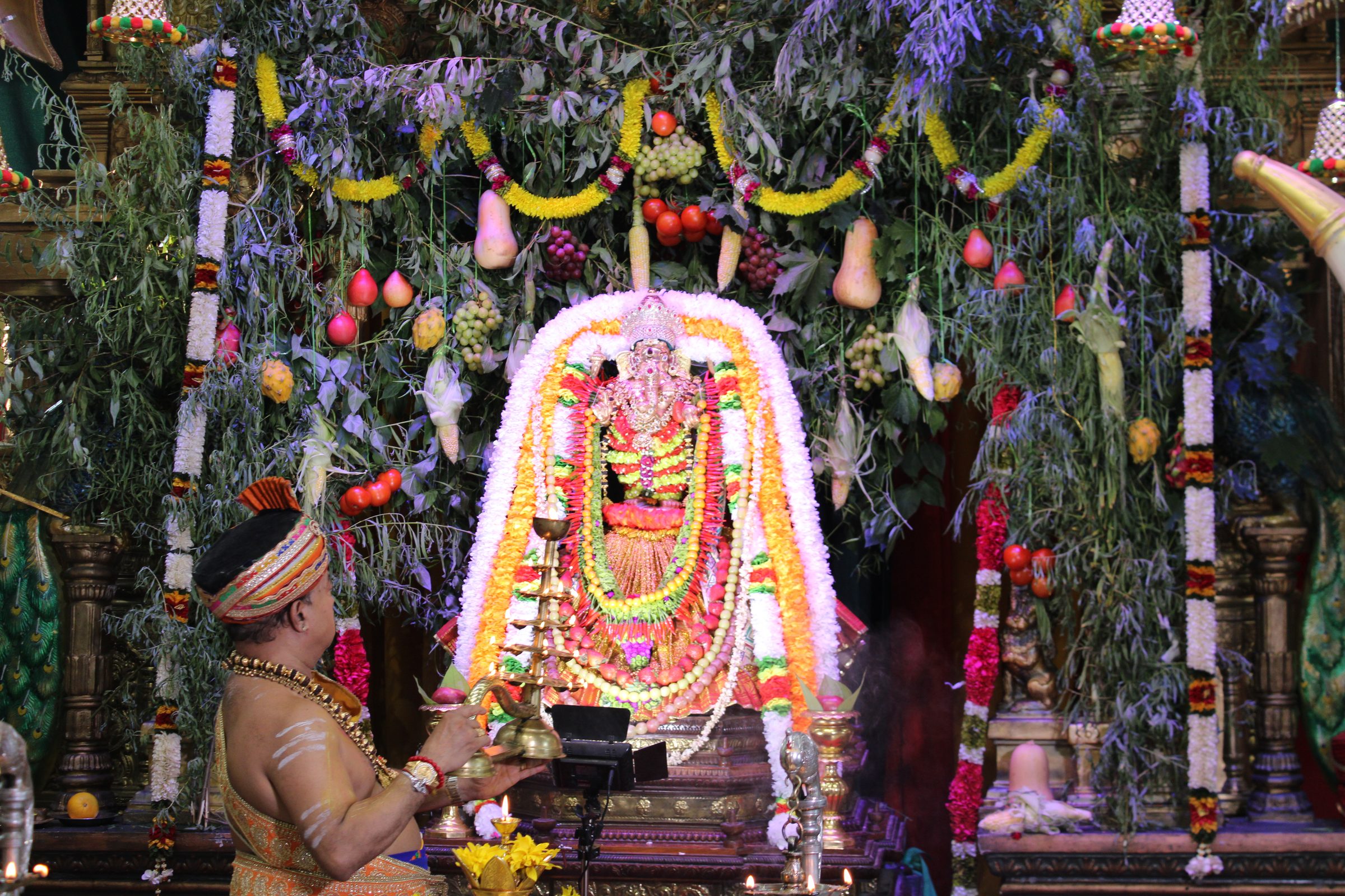 Festival 2024 photo