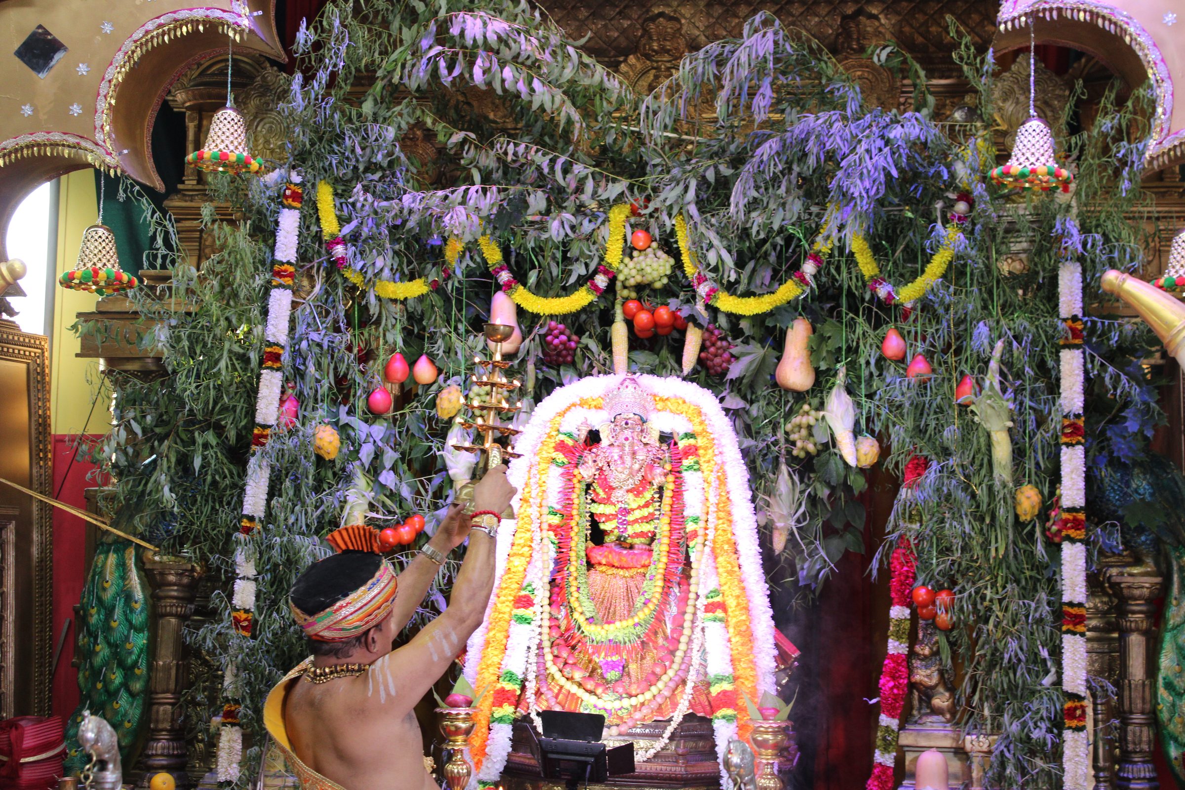 Festival 2024 photo