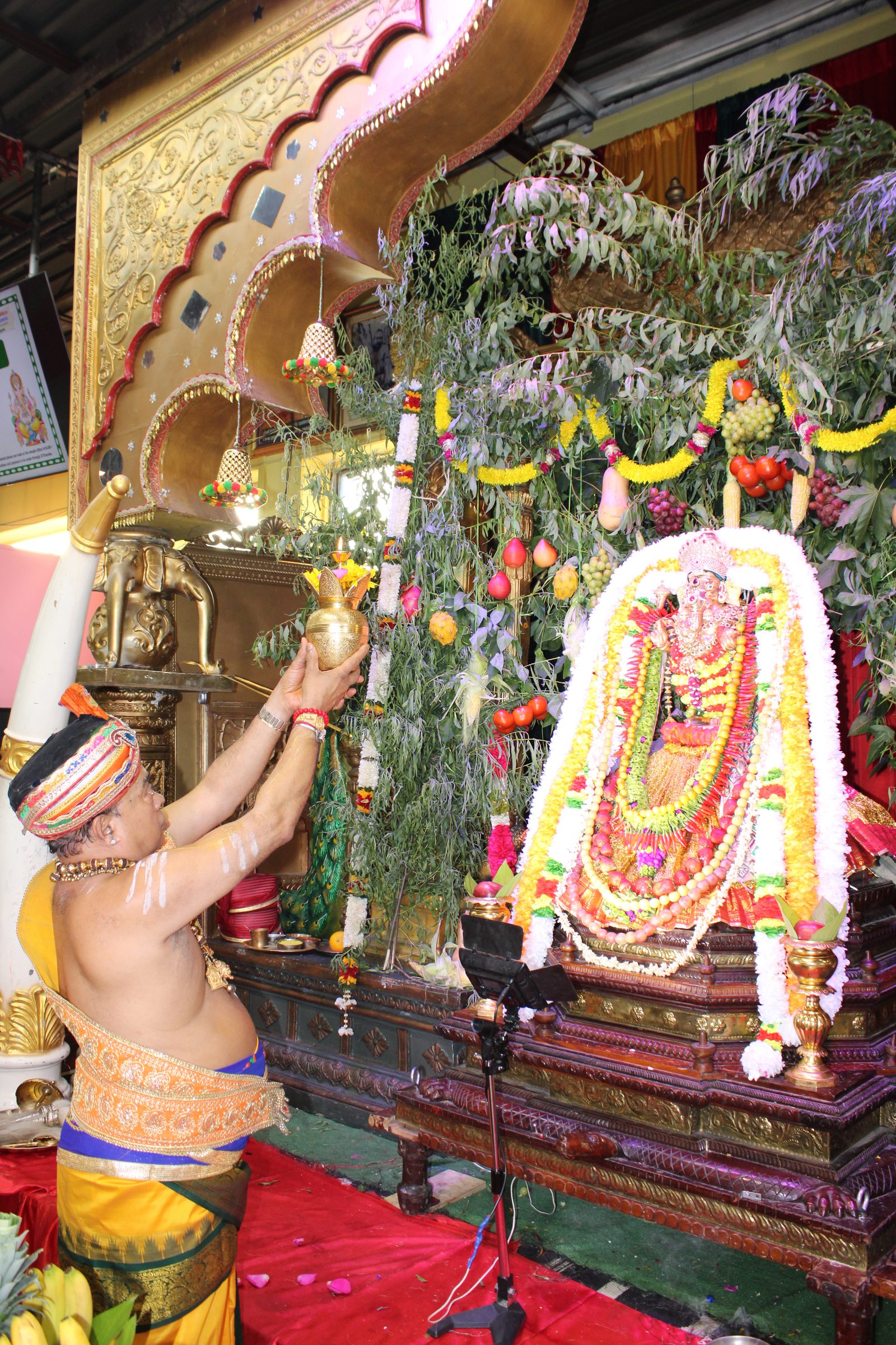 Festival 2024 photo