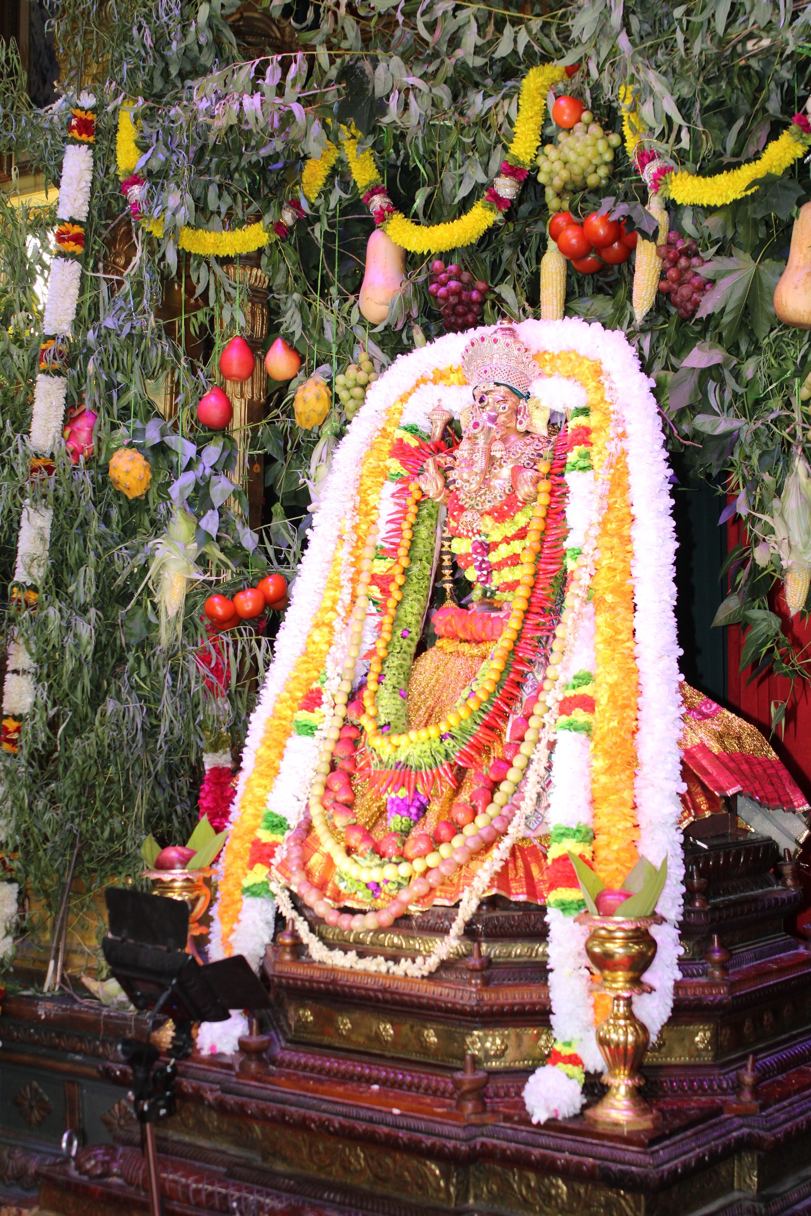 Festival 2024 photo