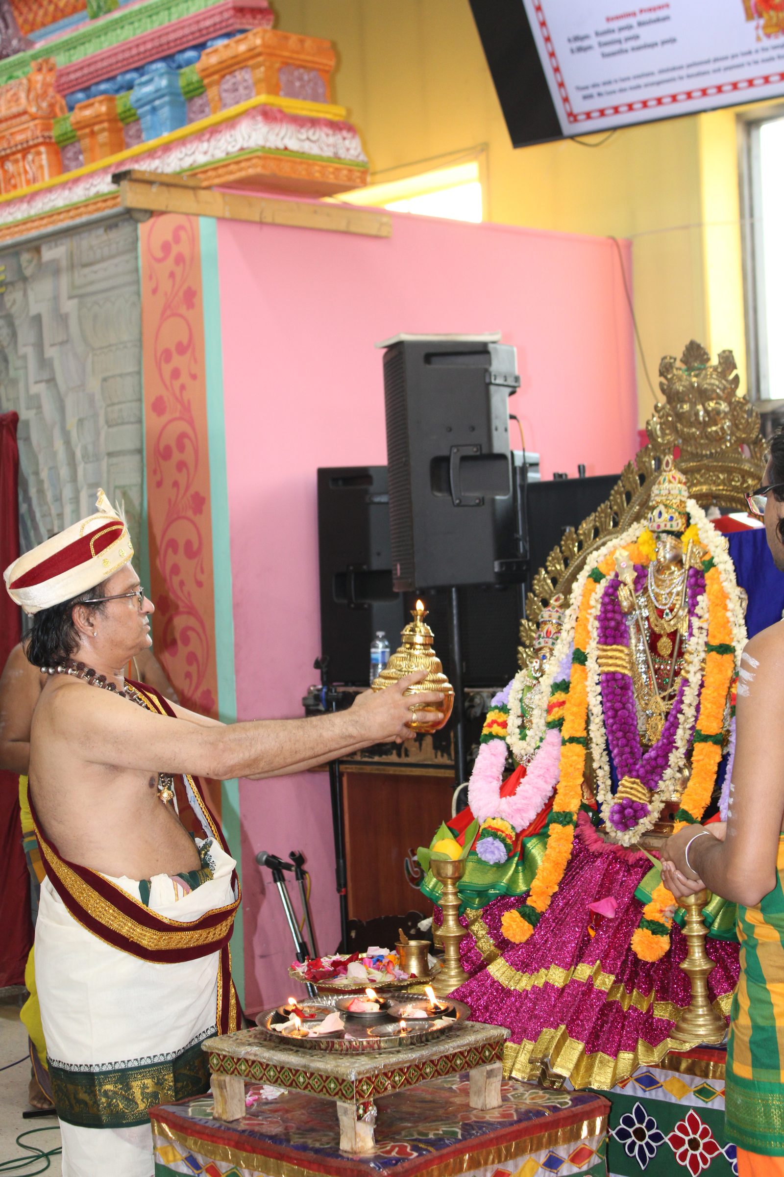 Festival 2024 photo