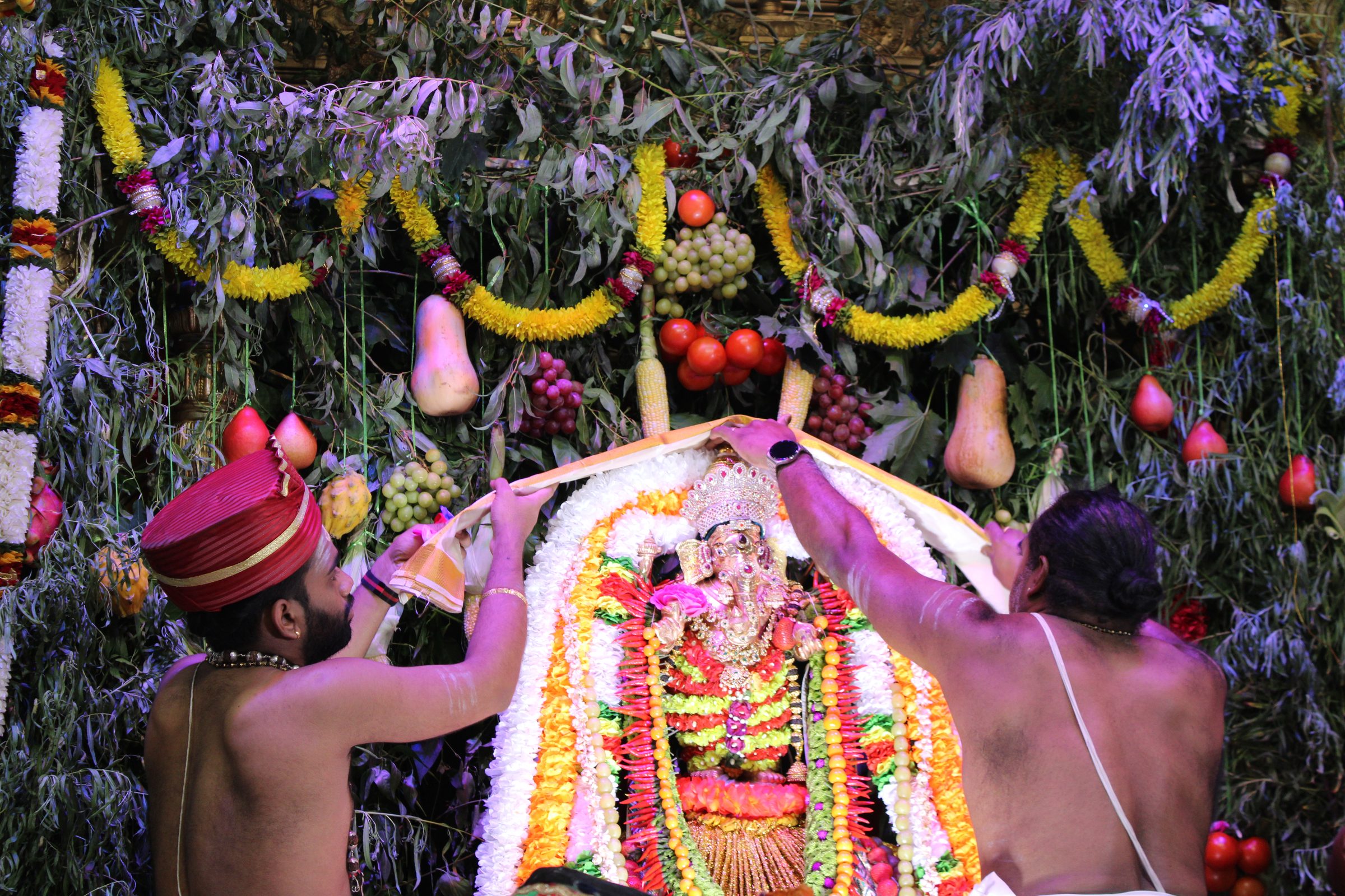 Festival 2024 photo