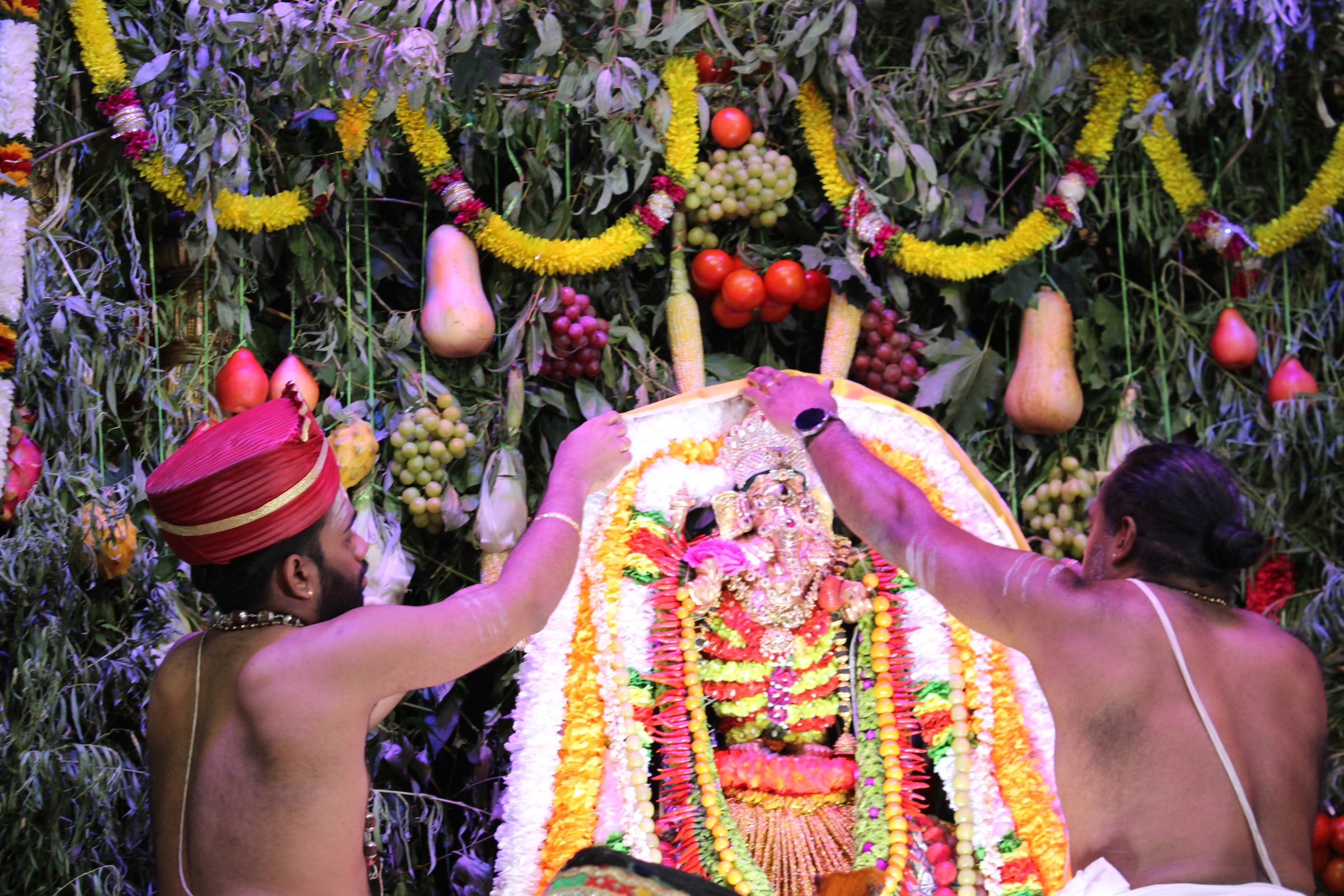 Festival 2024 photo