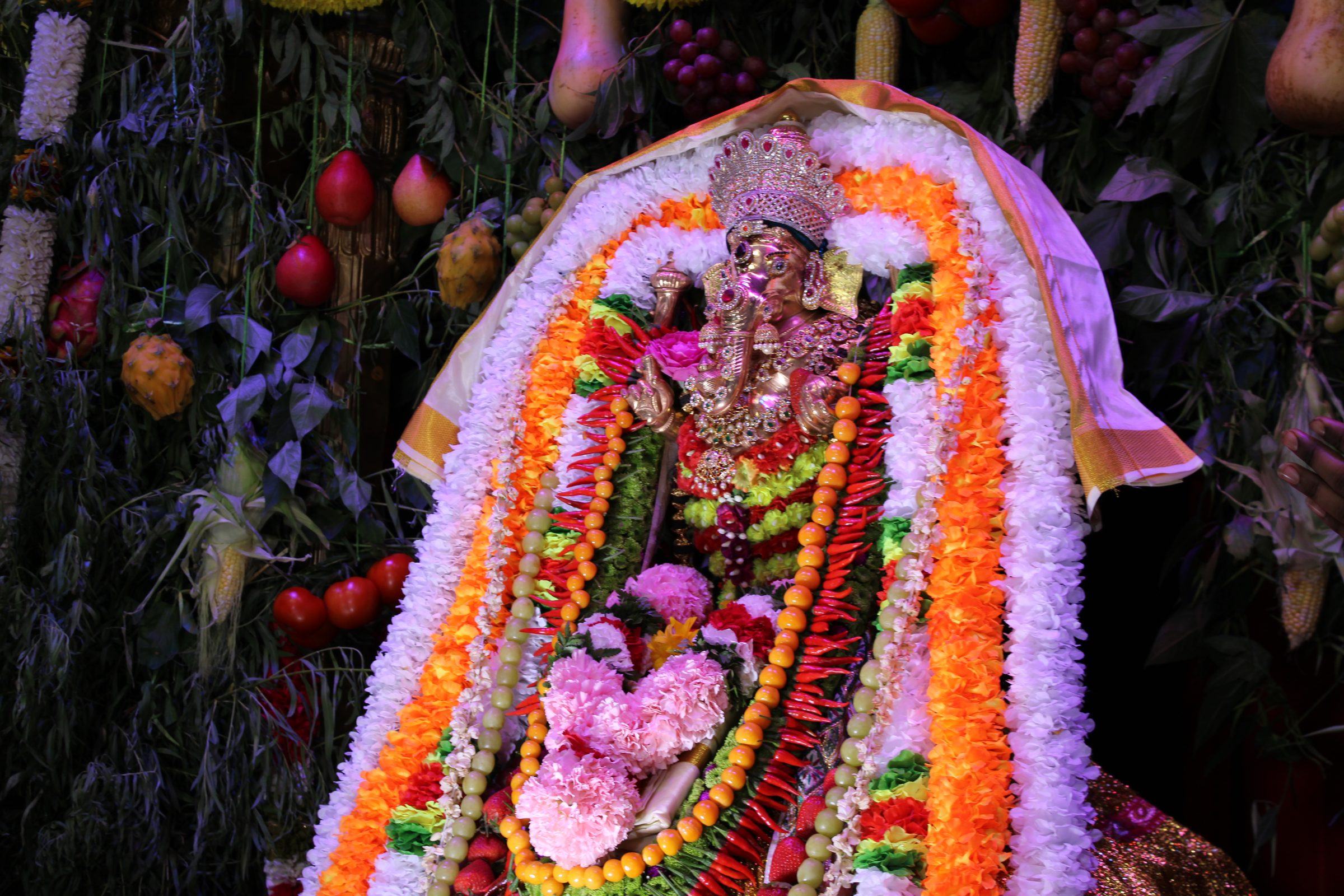 Festival 2024 photo