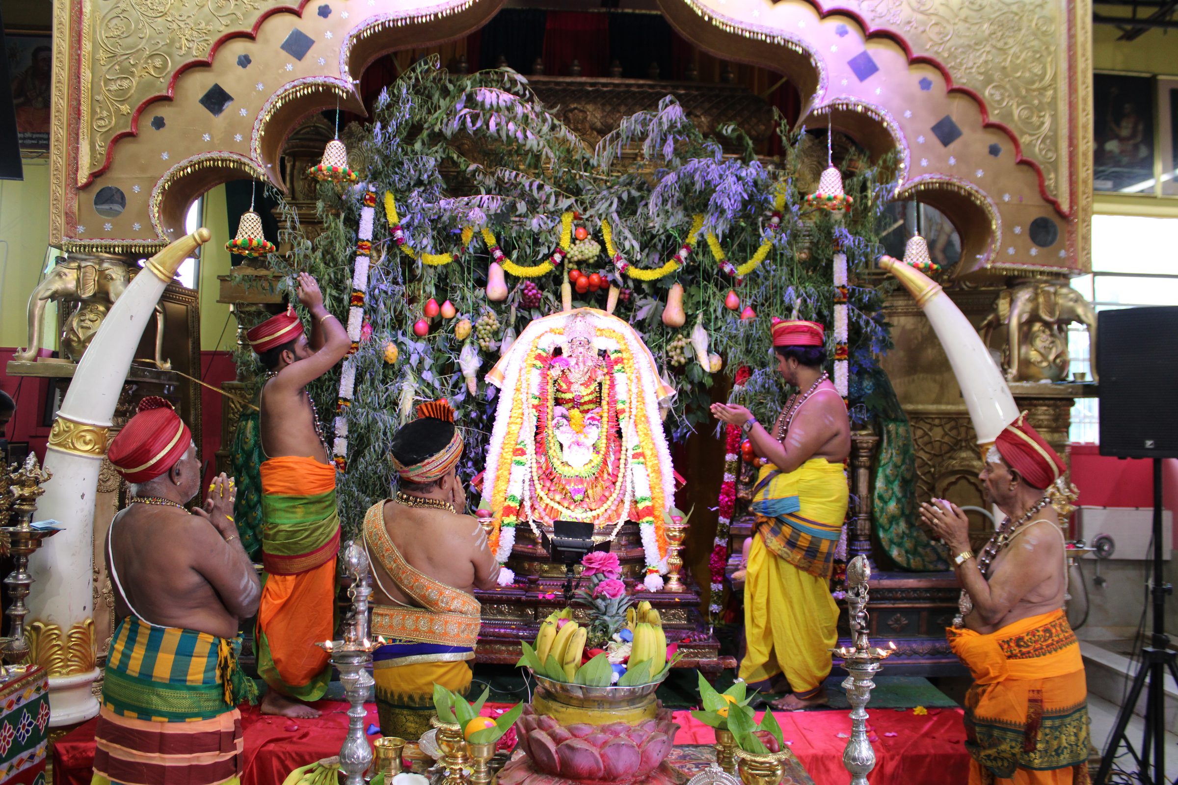 Festival 2024 photo