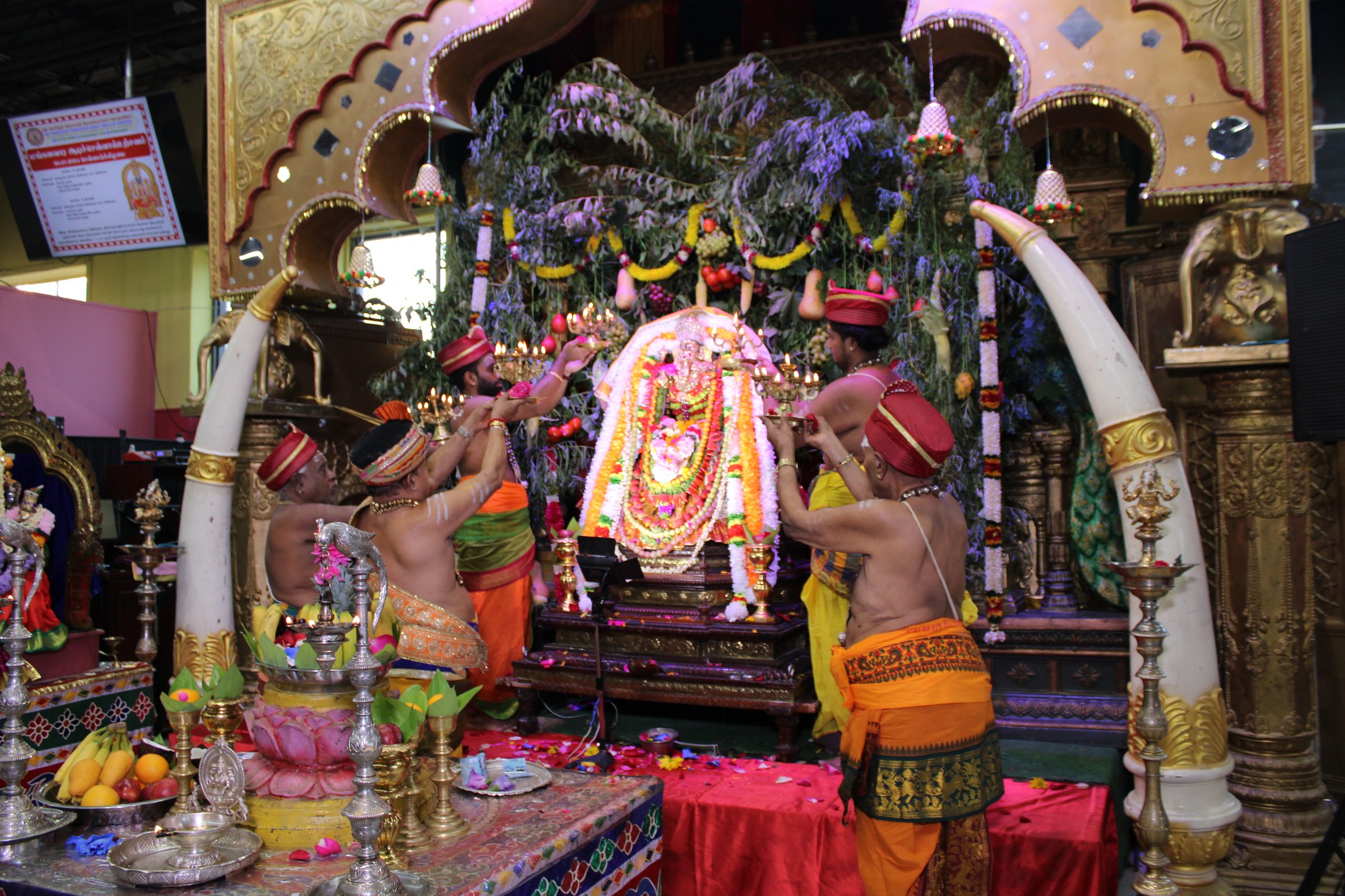 Festival 2024 photo