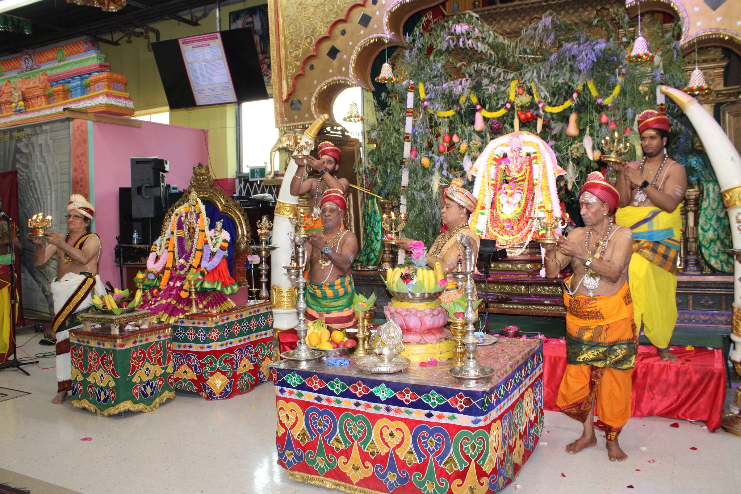 Festival 2024 photo