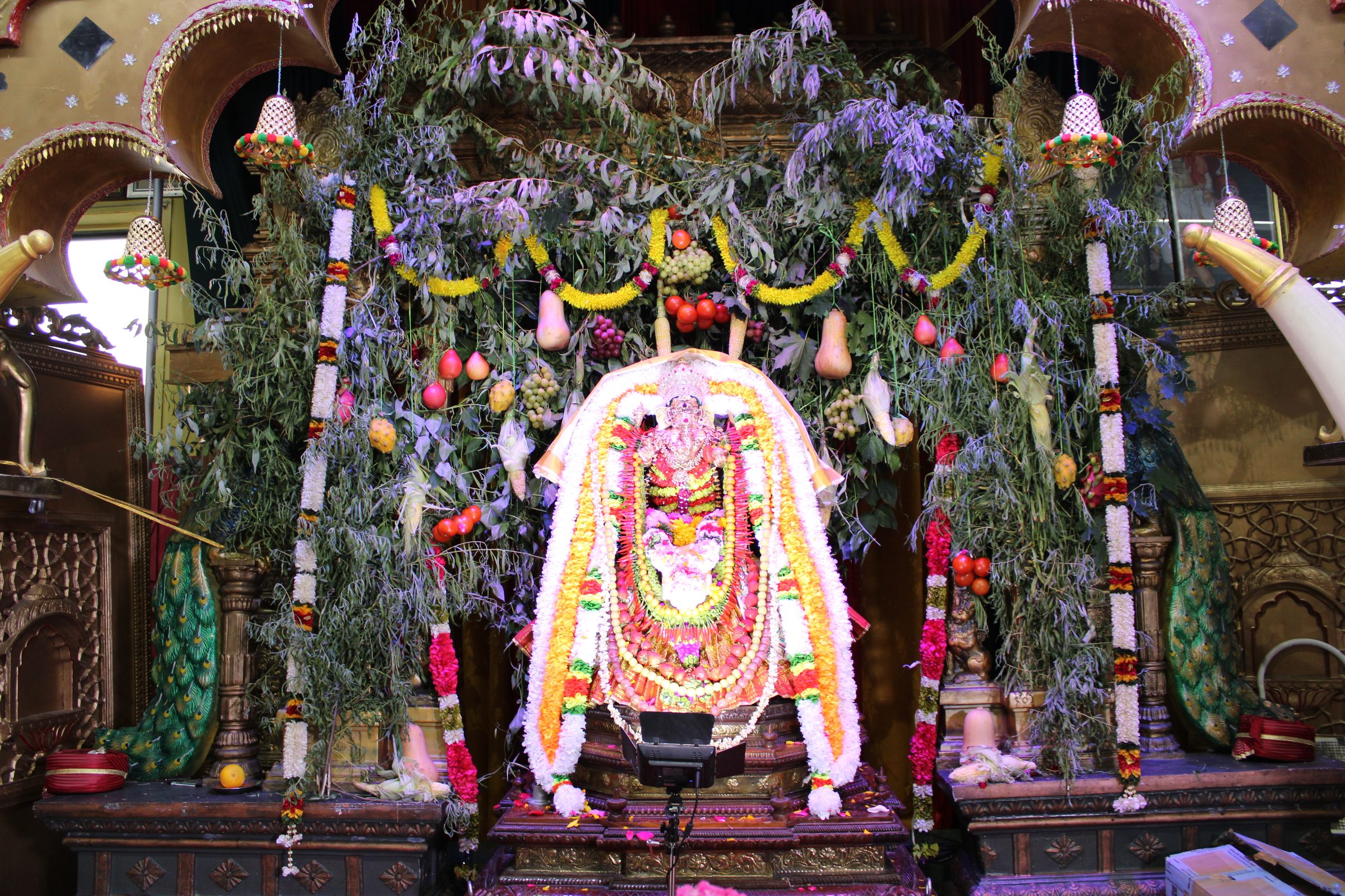 Festival 2024 photo