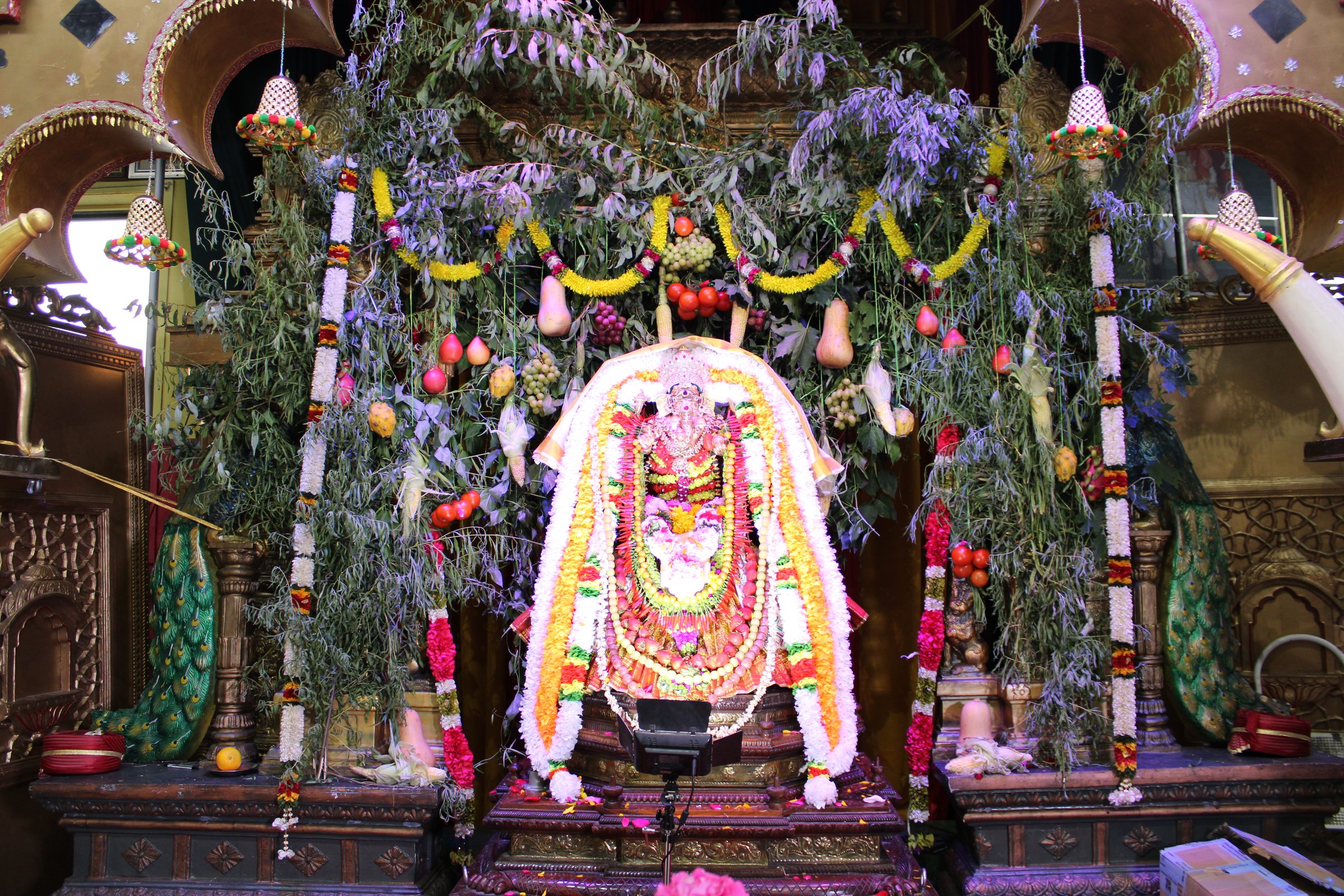 Festival 2024 photo