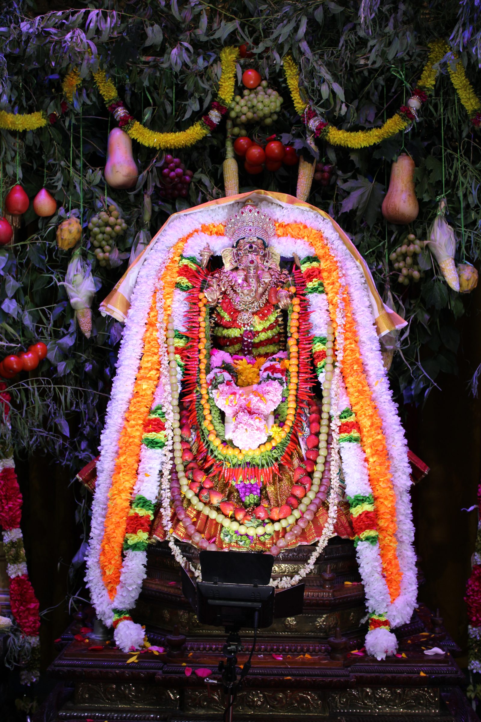 Festival 2024 photo