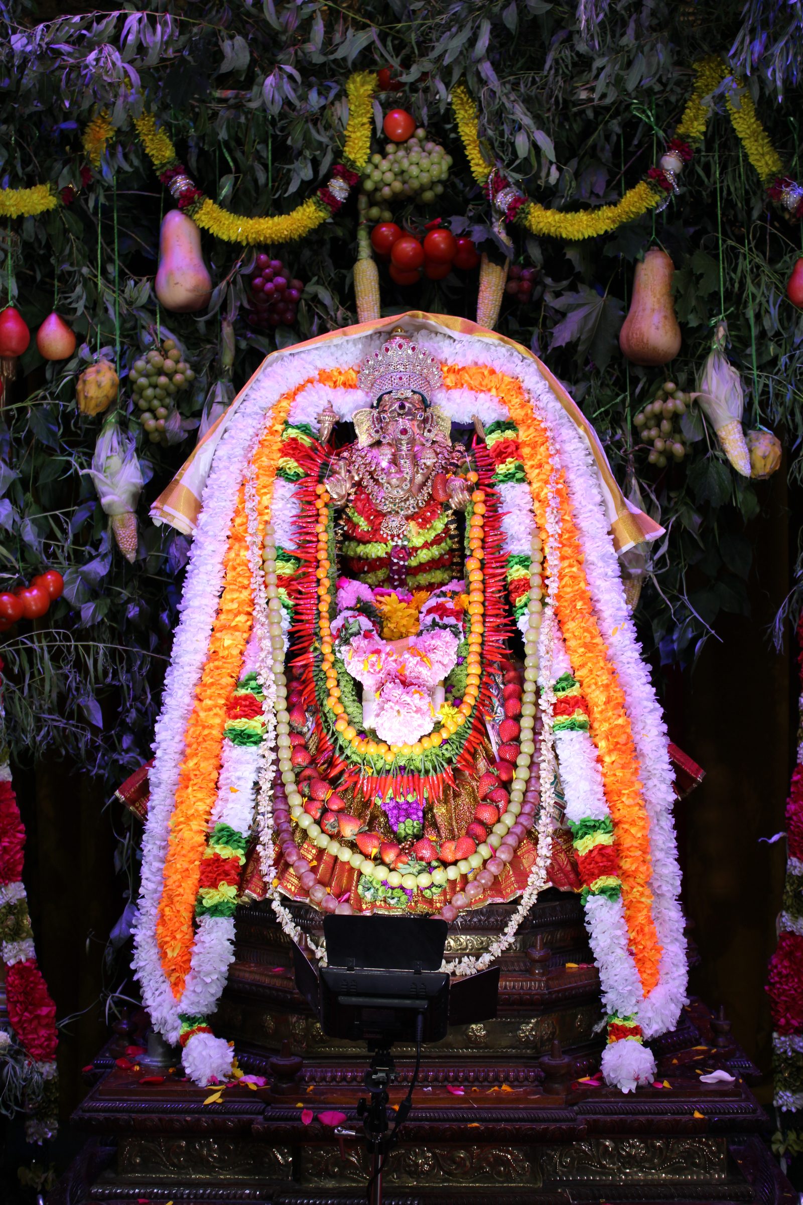 Festival 2024 photo