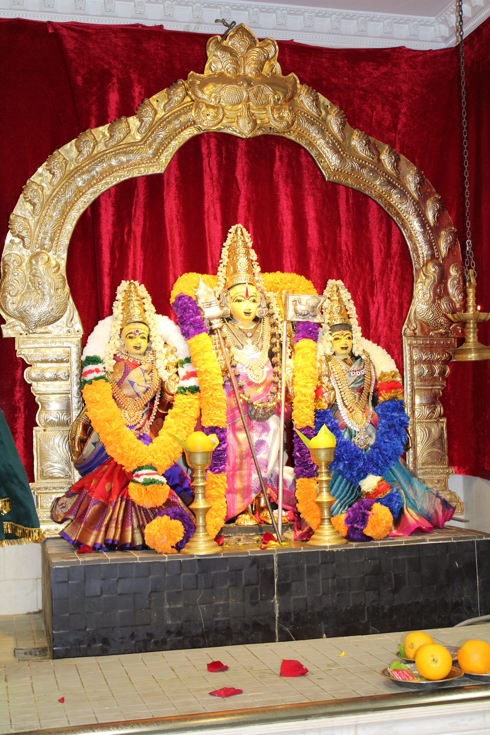 Festival 2024 photo