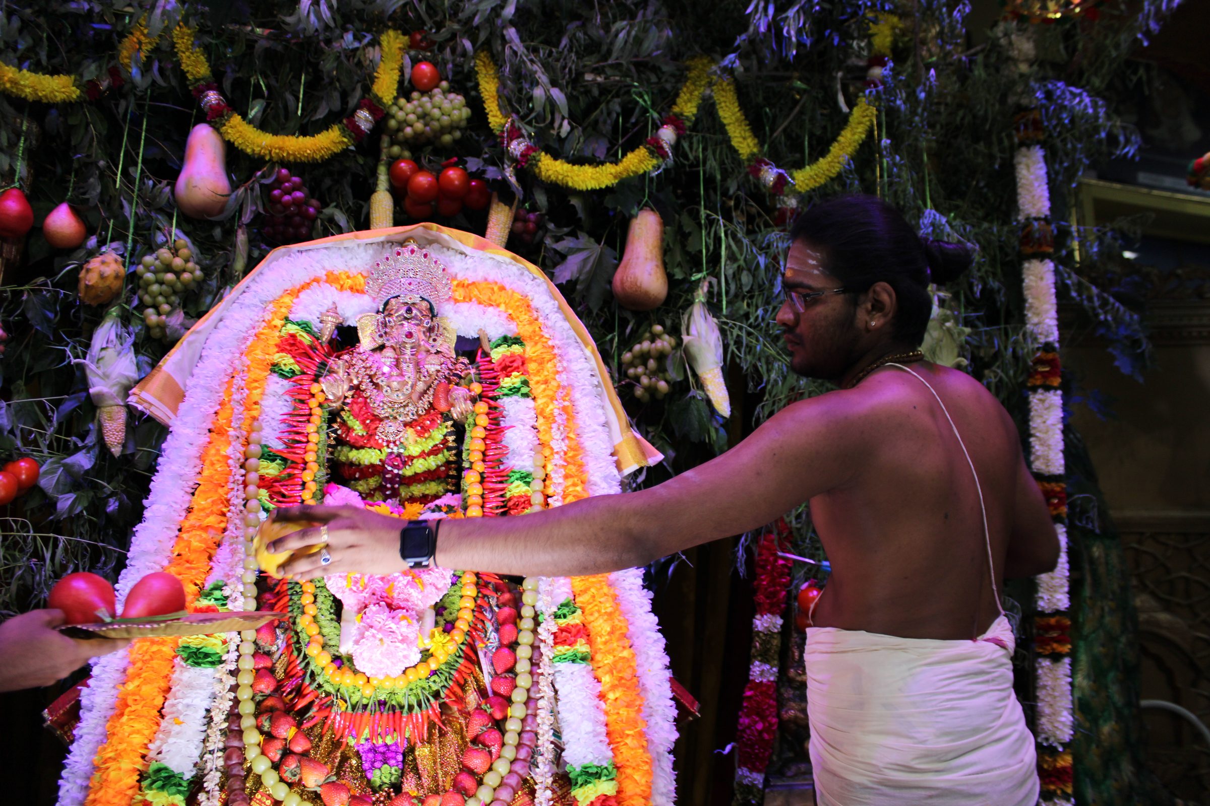 Festival 2024 photo
