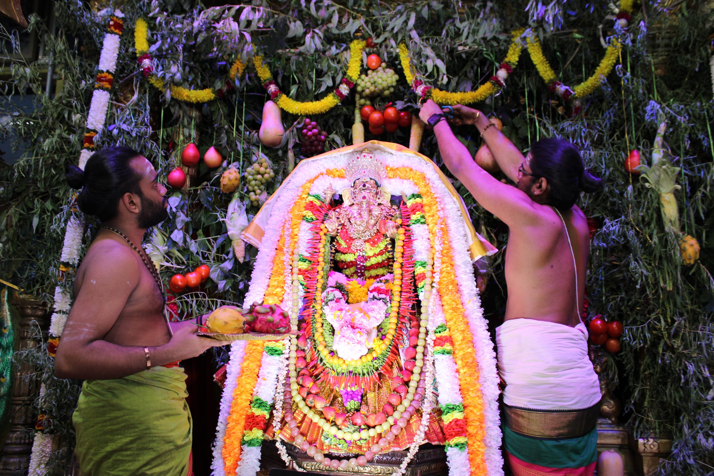 Festival 2024 photo
