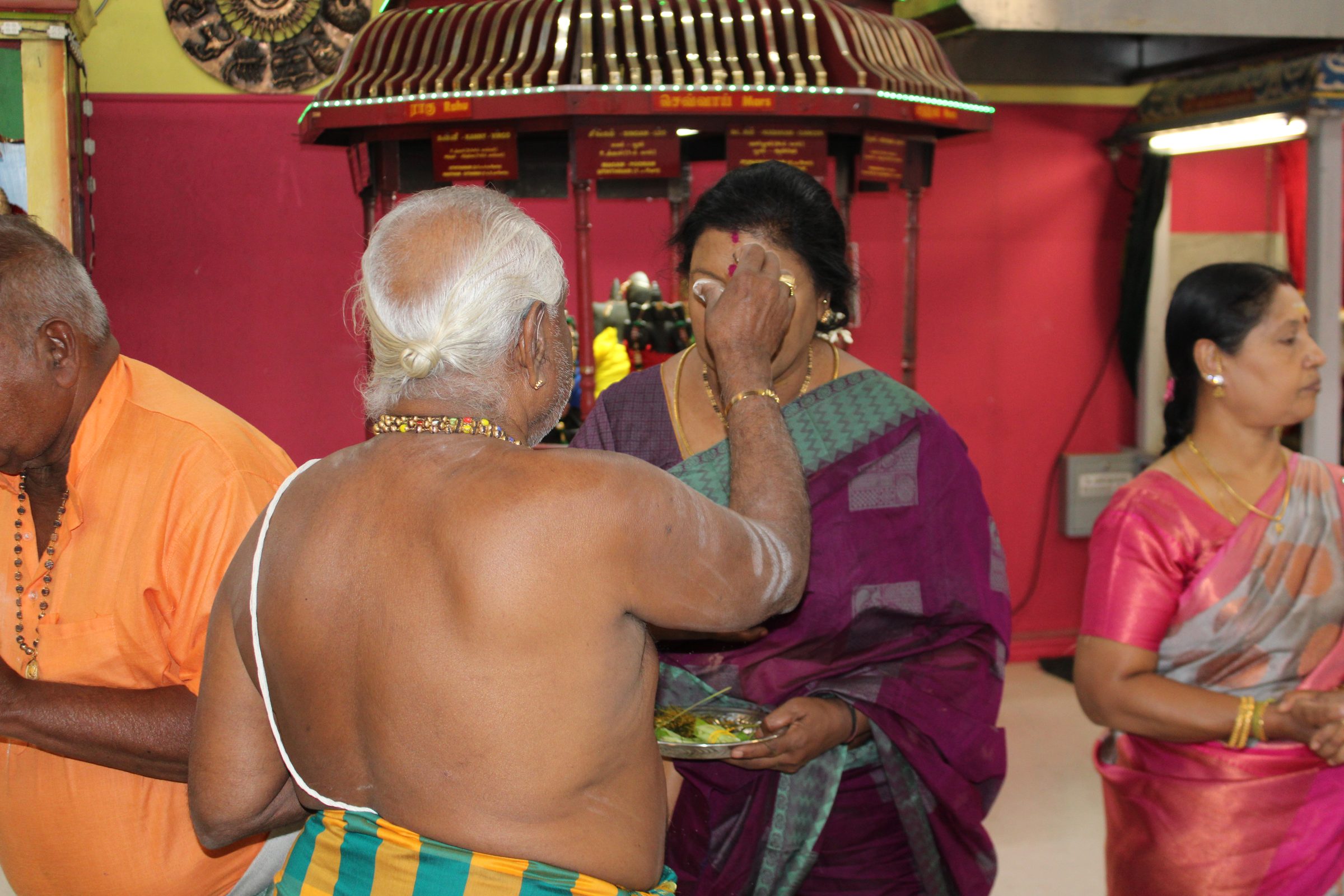 Festival 2024 photo