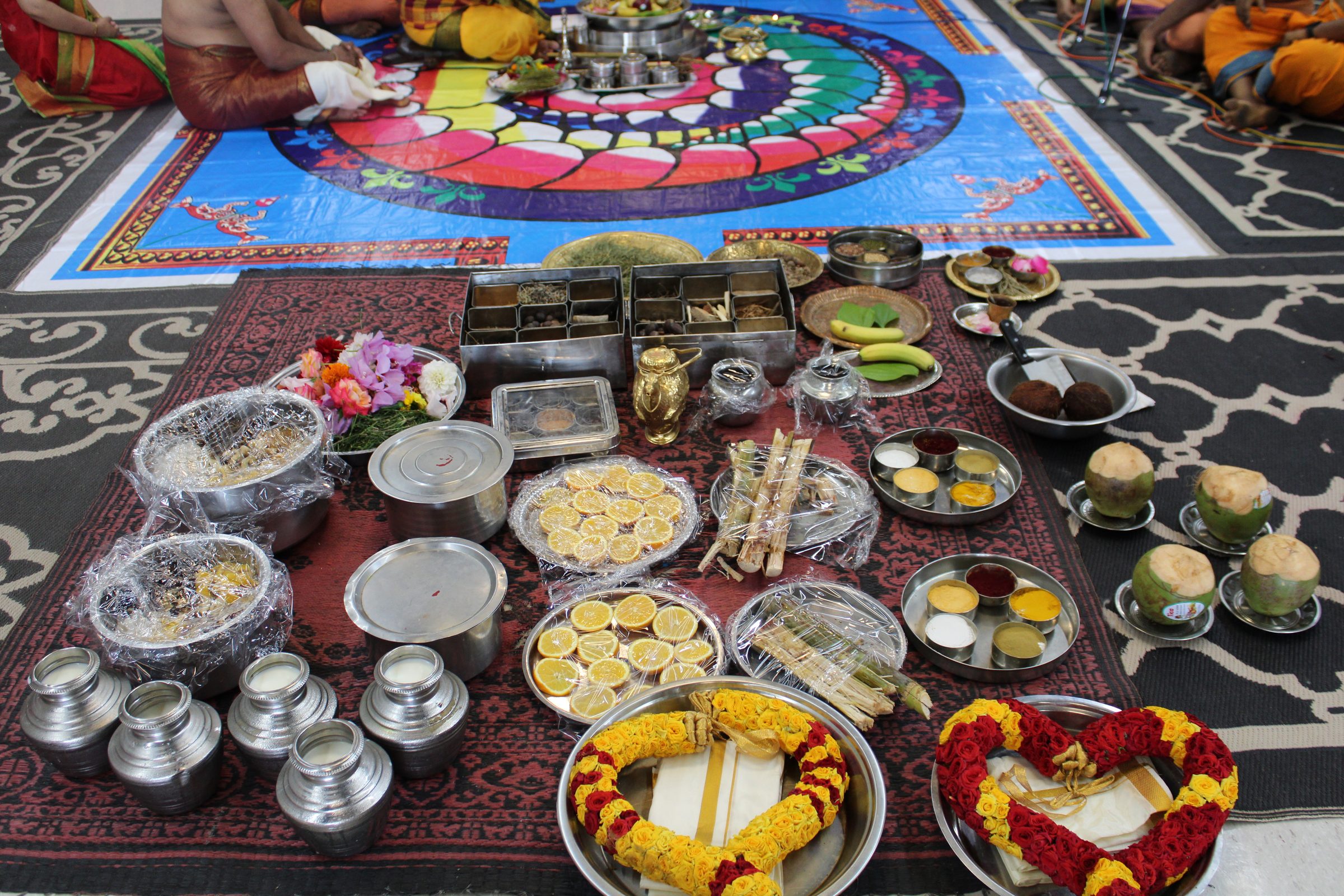 Festival 2024 photo