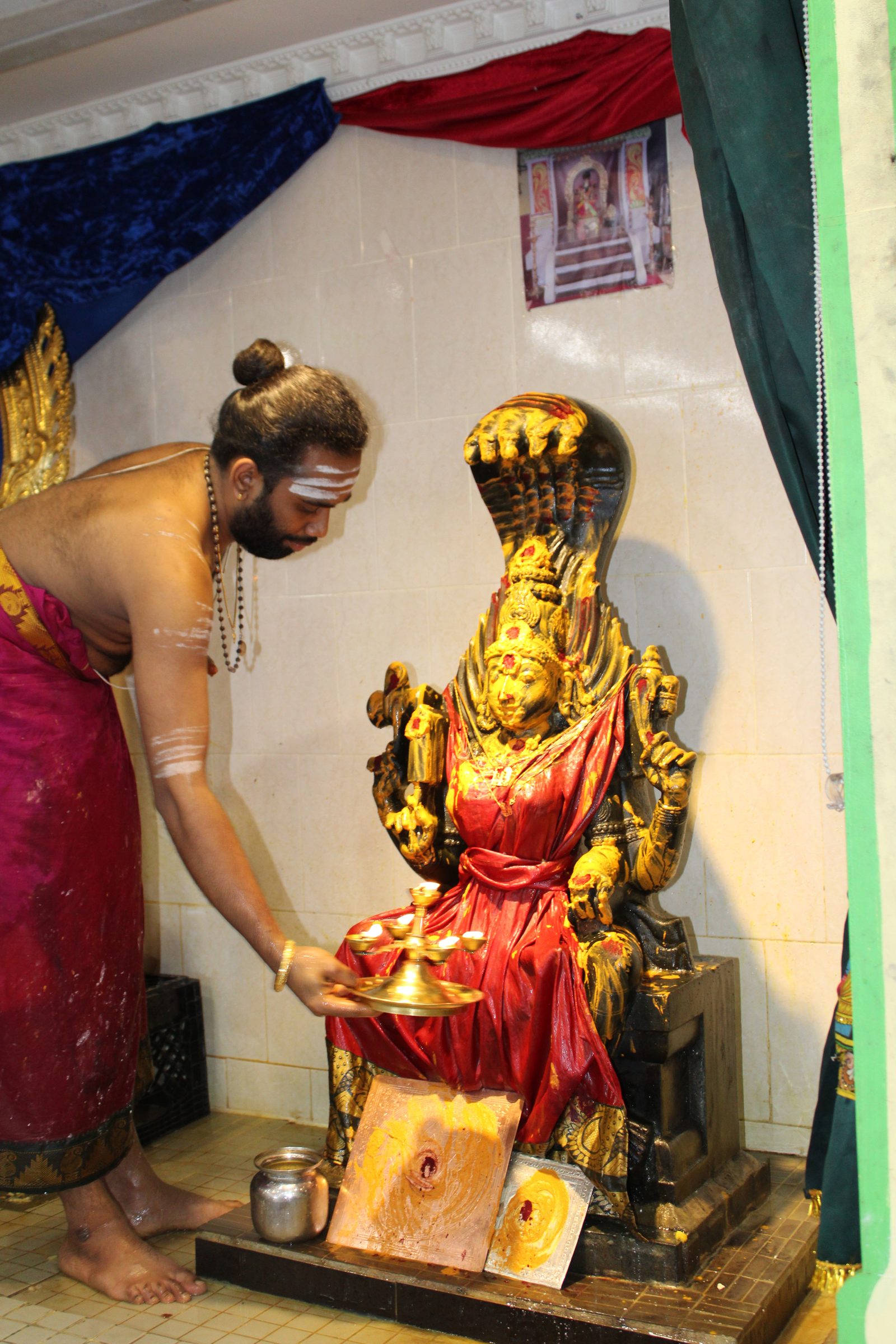 Festival 2024 photo