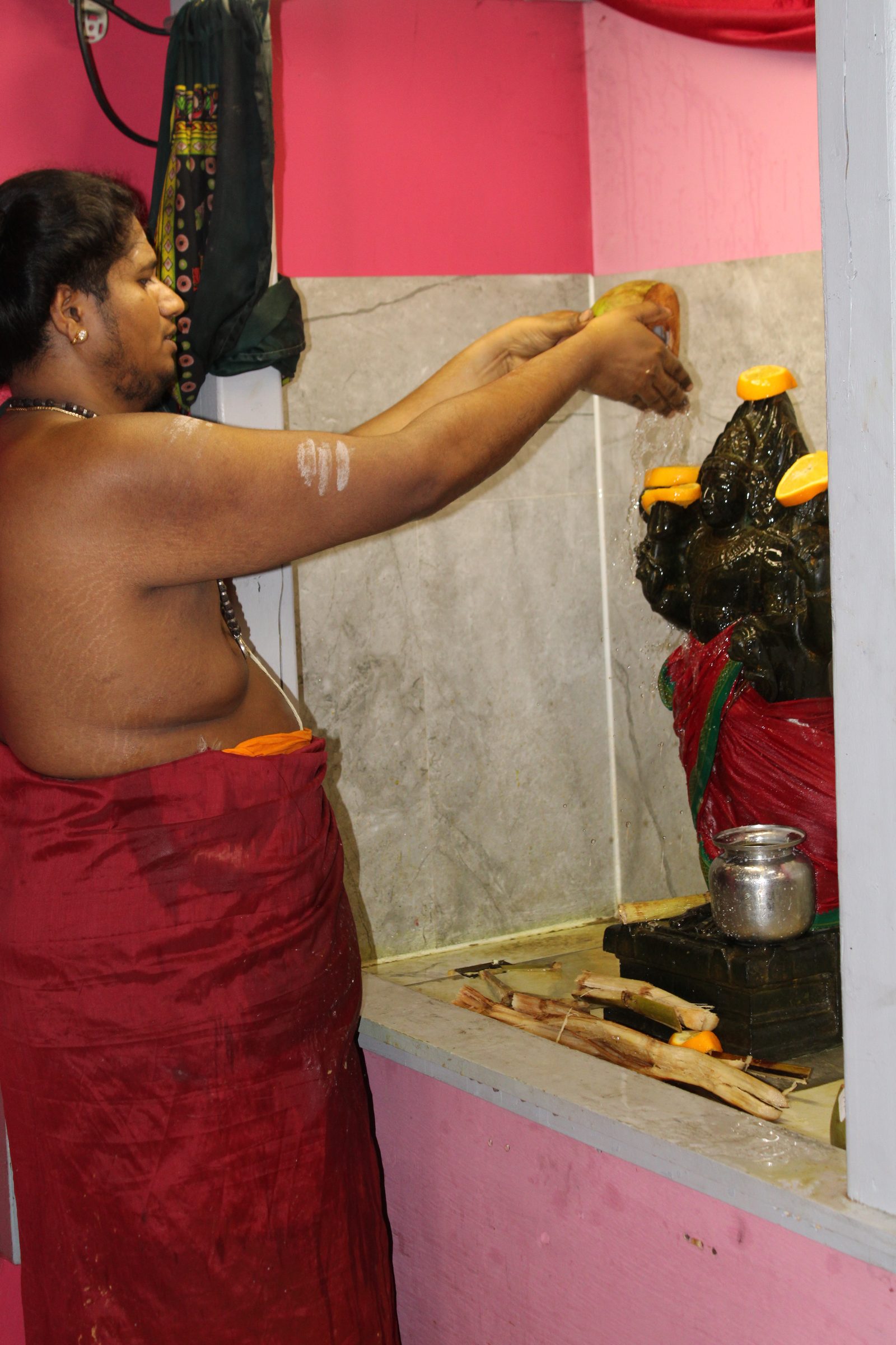 Festival 2024 photo