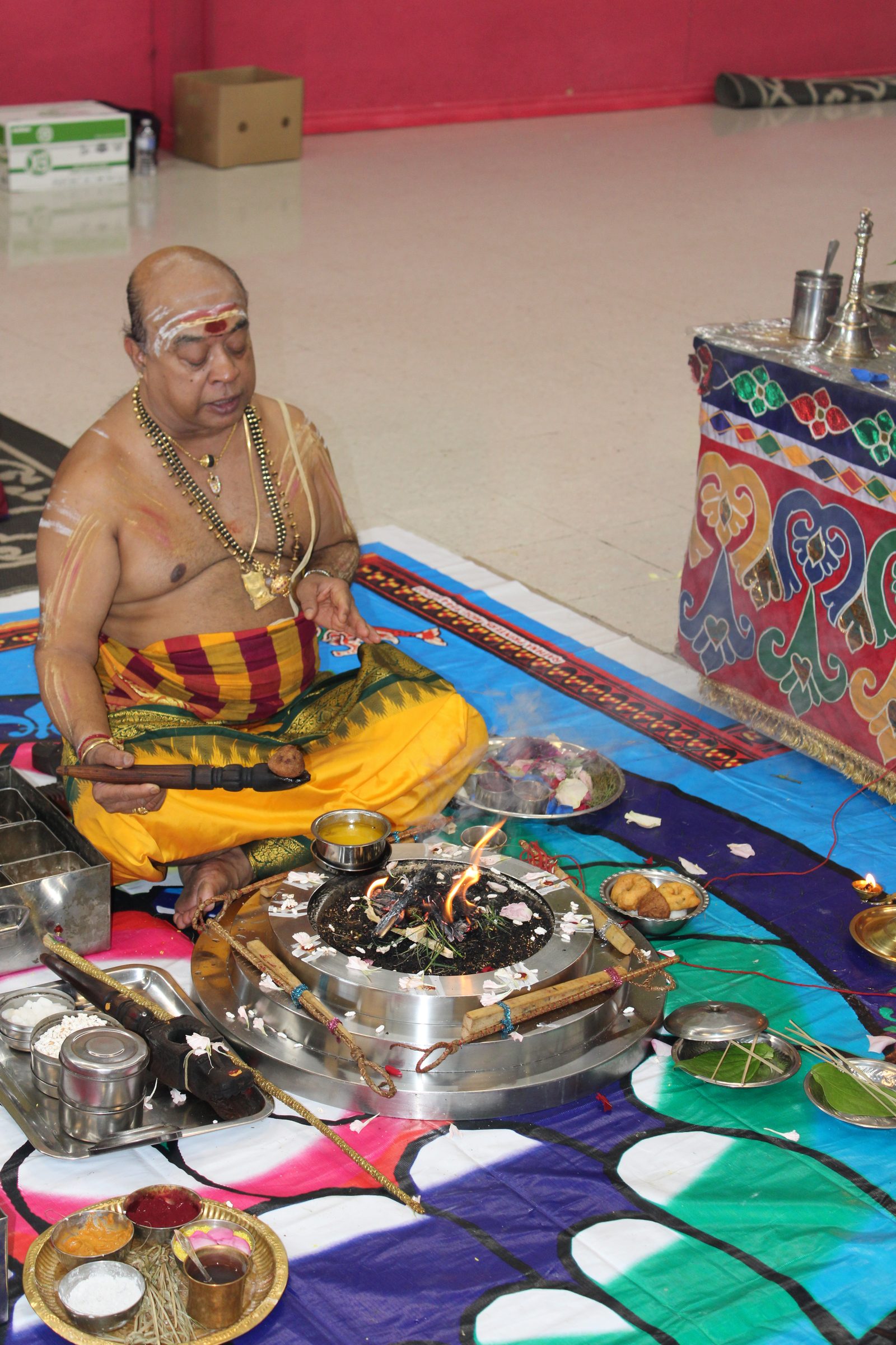 Festival 2024 photo